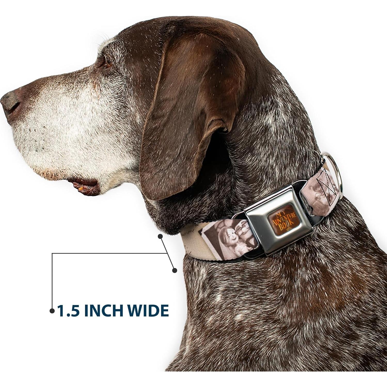 Collar para Perros Disney Buckle-Down 24.1-33 cm 2.54 cm Ancho