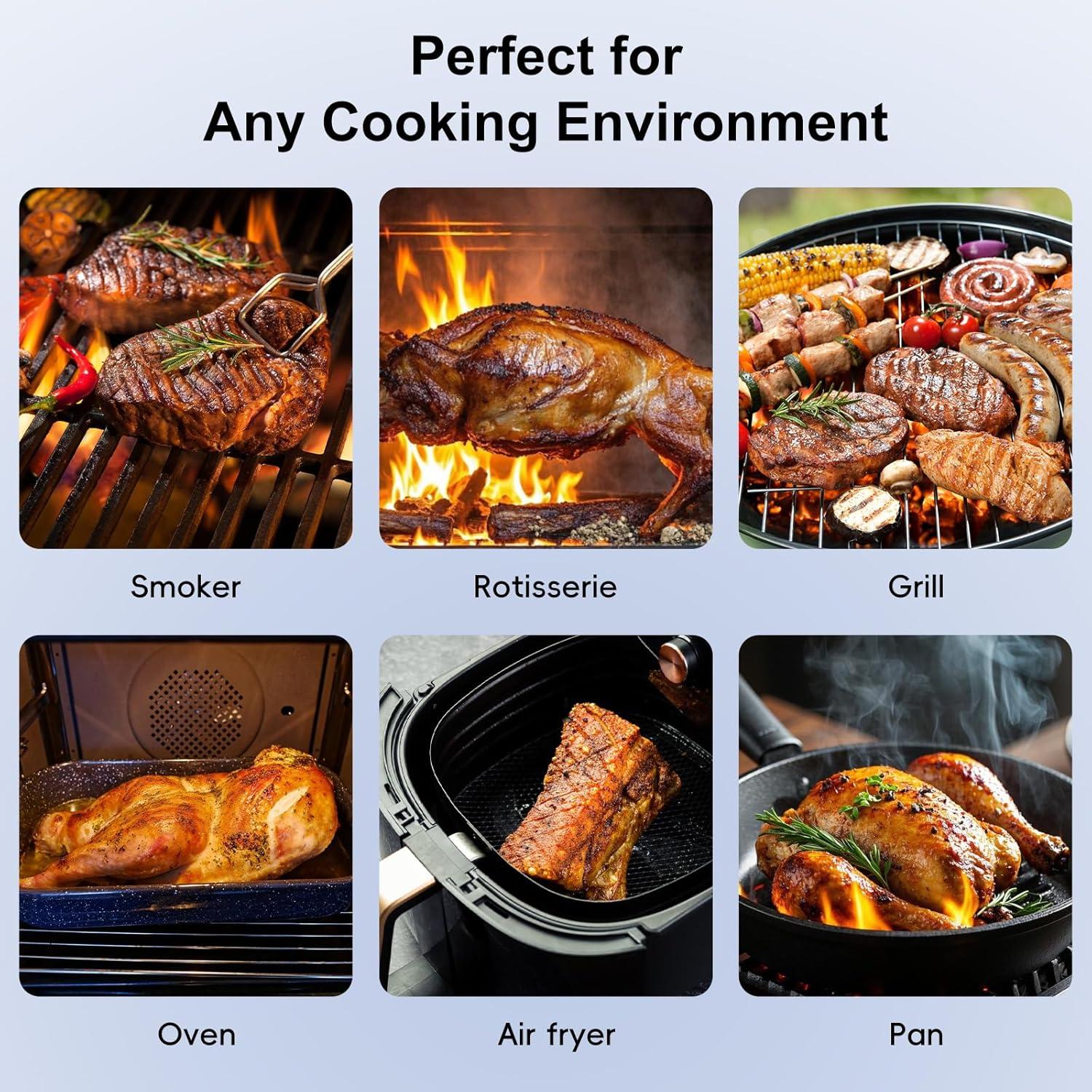 Termómetro de Carne Inalámbrico Bluetooth Newise BMT02 con 2 Probes