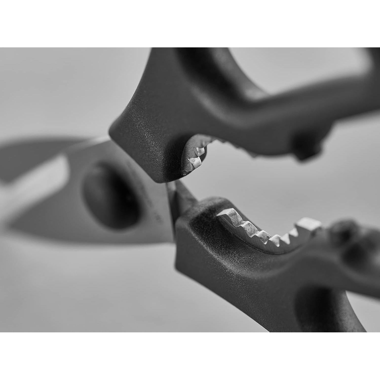 Tijeras de Cocina WÜSTHOF Desmontables + Cuchillo de Pelar 7.62 cm