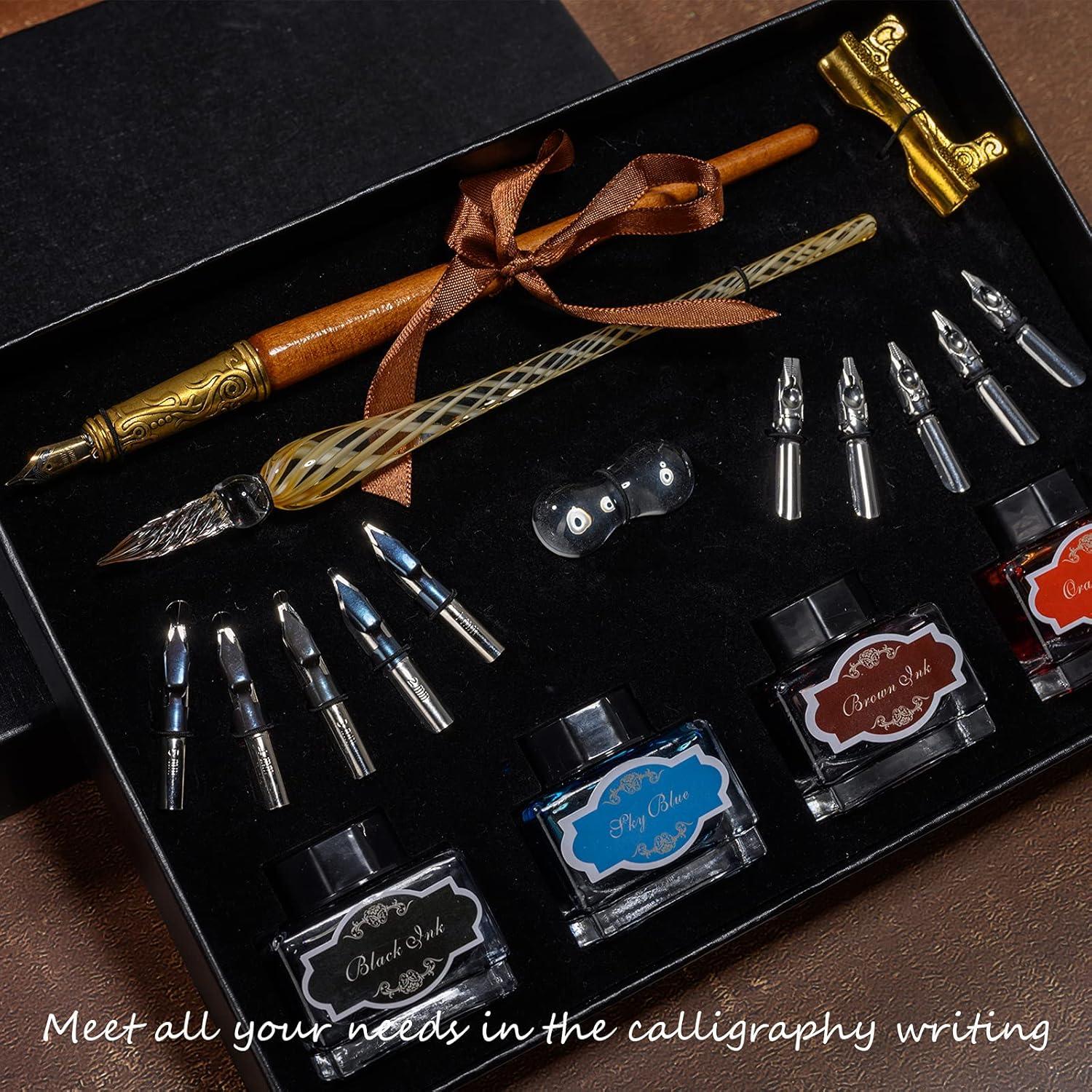 Juego de Plumas Caligráficas POHNPICE con Tinta y Puntas