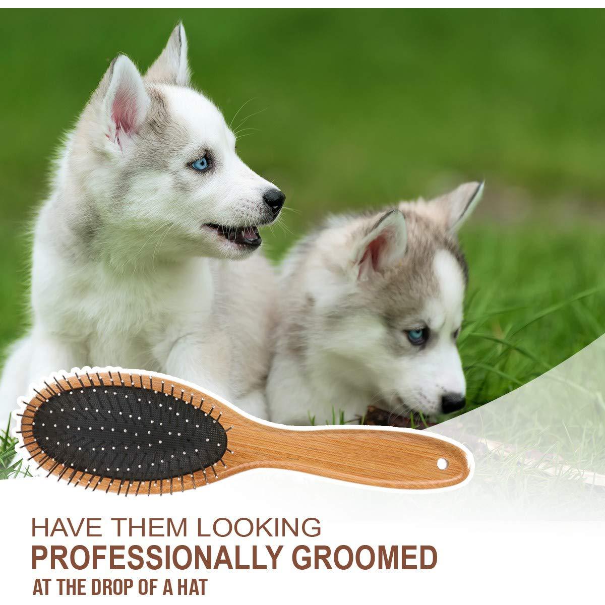 Cepillo Slicker Doble Cara KylePet para Perros y Gatos 22cm