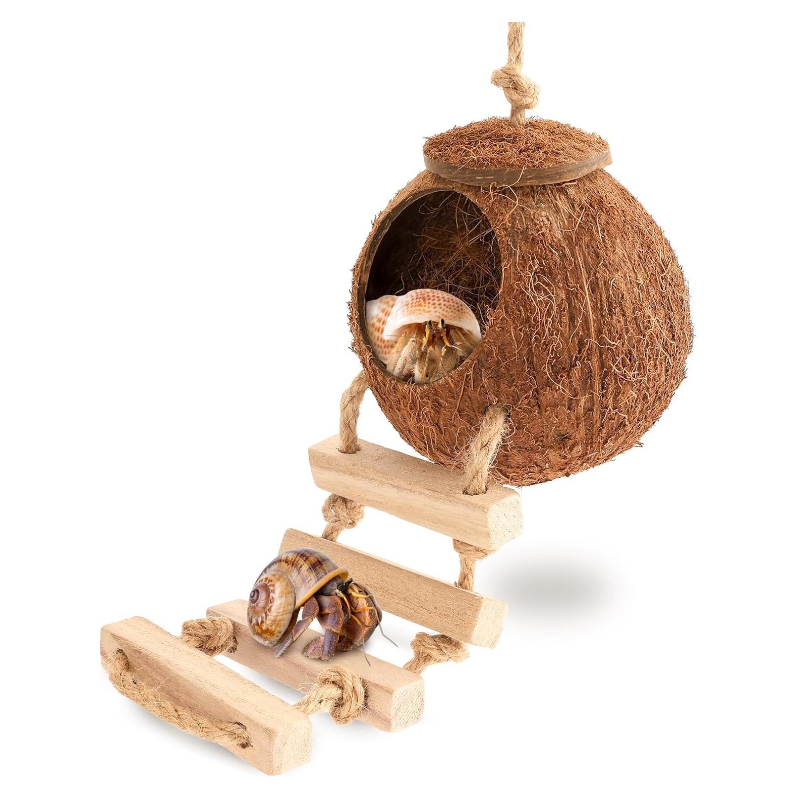 Casa de Coco Natural U0U para Cangrejo Ermitaño con Escalera