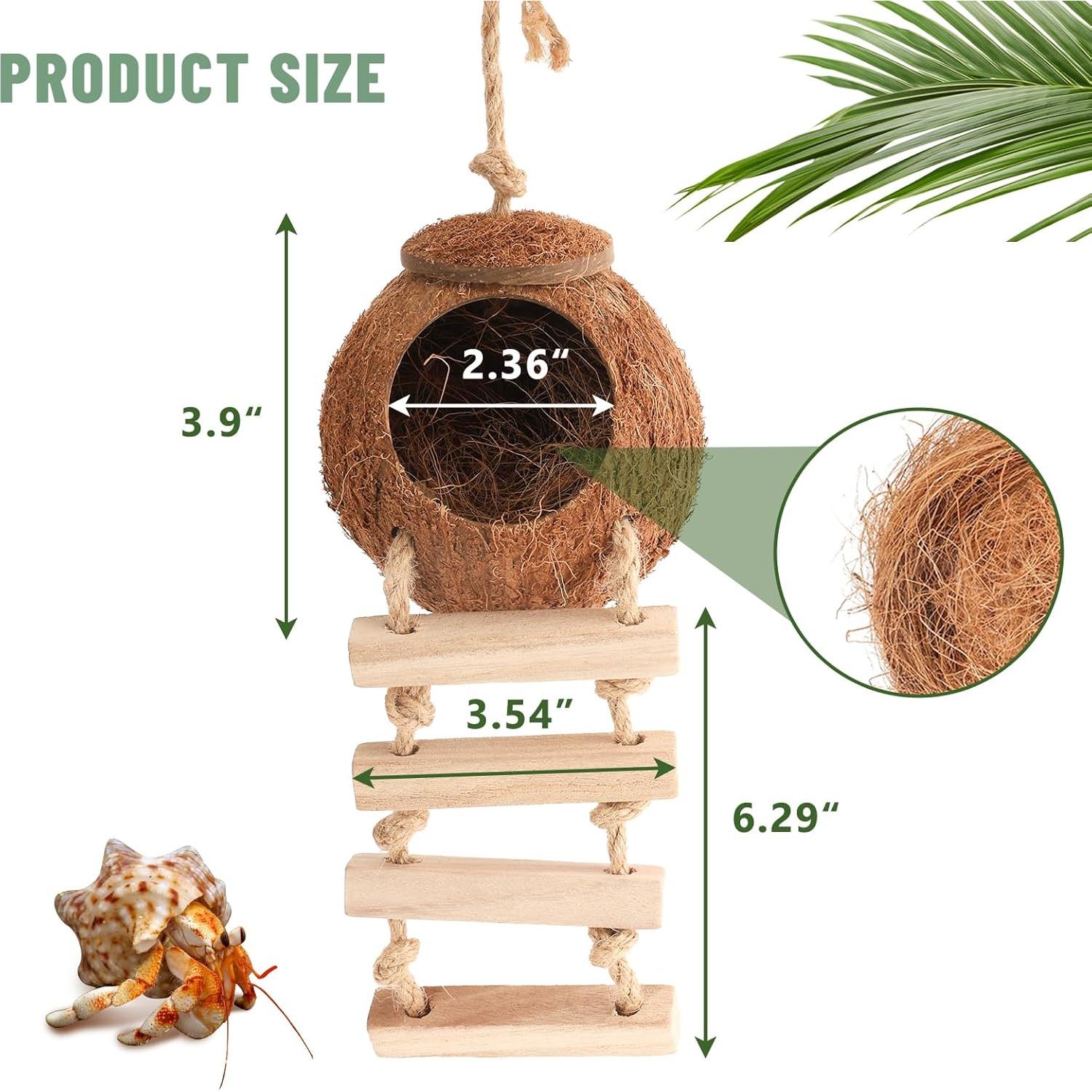 Casa de Coco Natural U0U para Cangrejo Ermitaño con Escalera