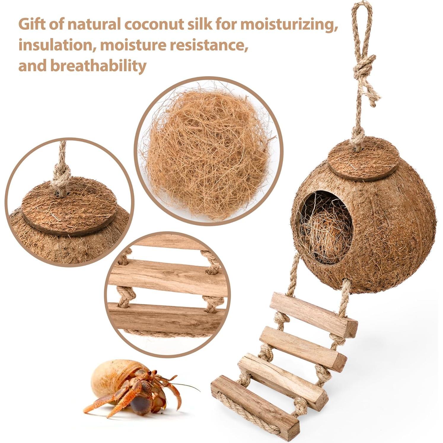 Casa de Coco Natural U0U para Cangrejo Ermitaño con Escalera