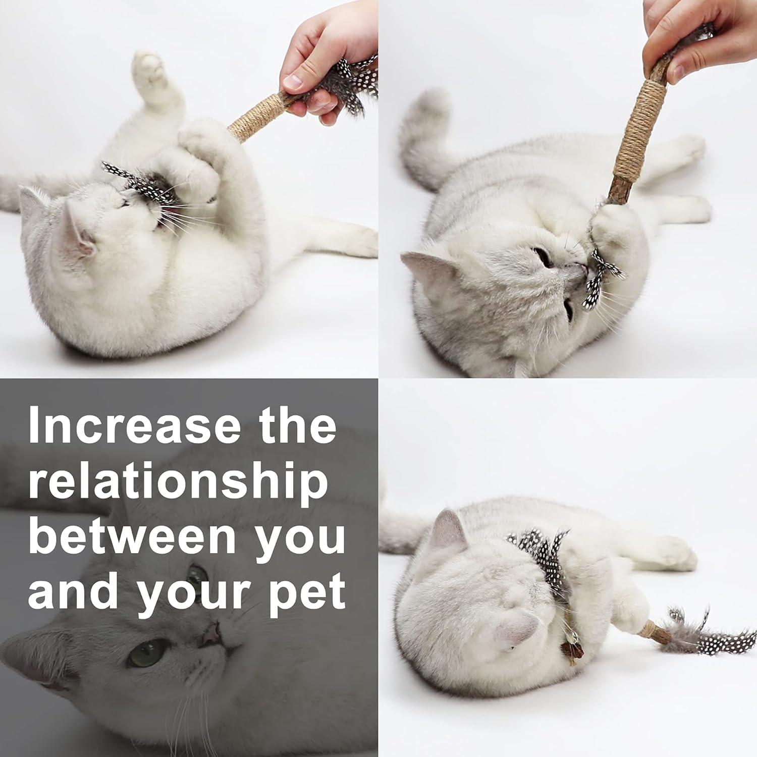 Juguete de Catnip Paz's Gift - Palos de Silvervine 2pcs