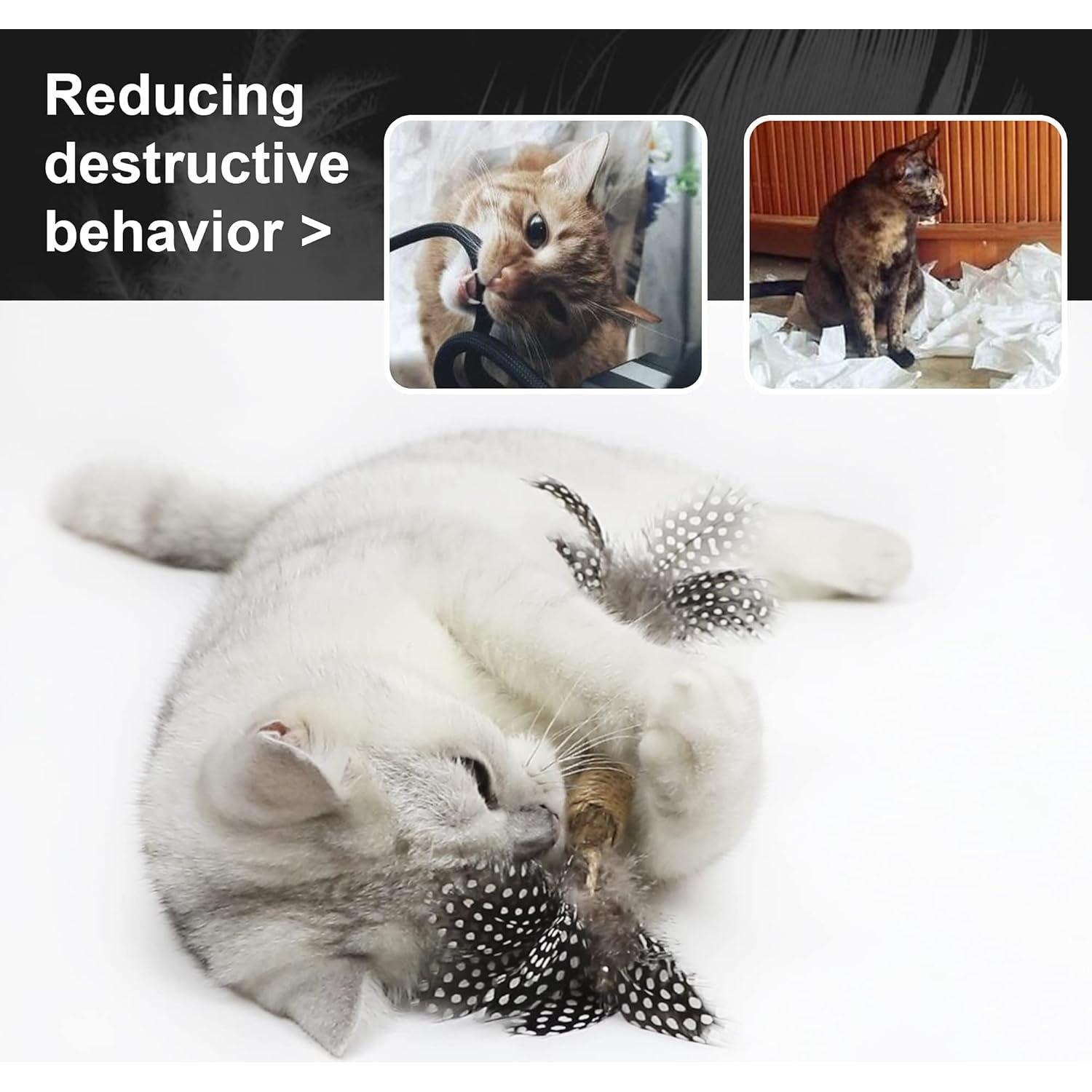 Juguete de Catnip Paz's Gift - Palos de Silvervine 2pcs