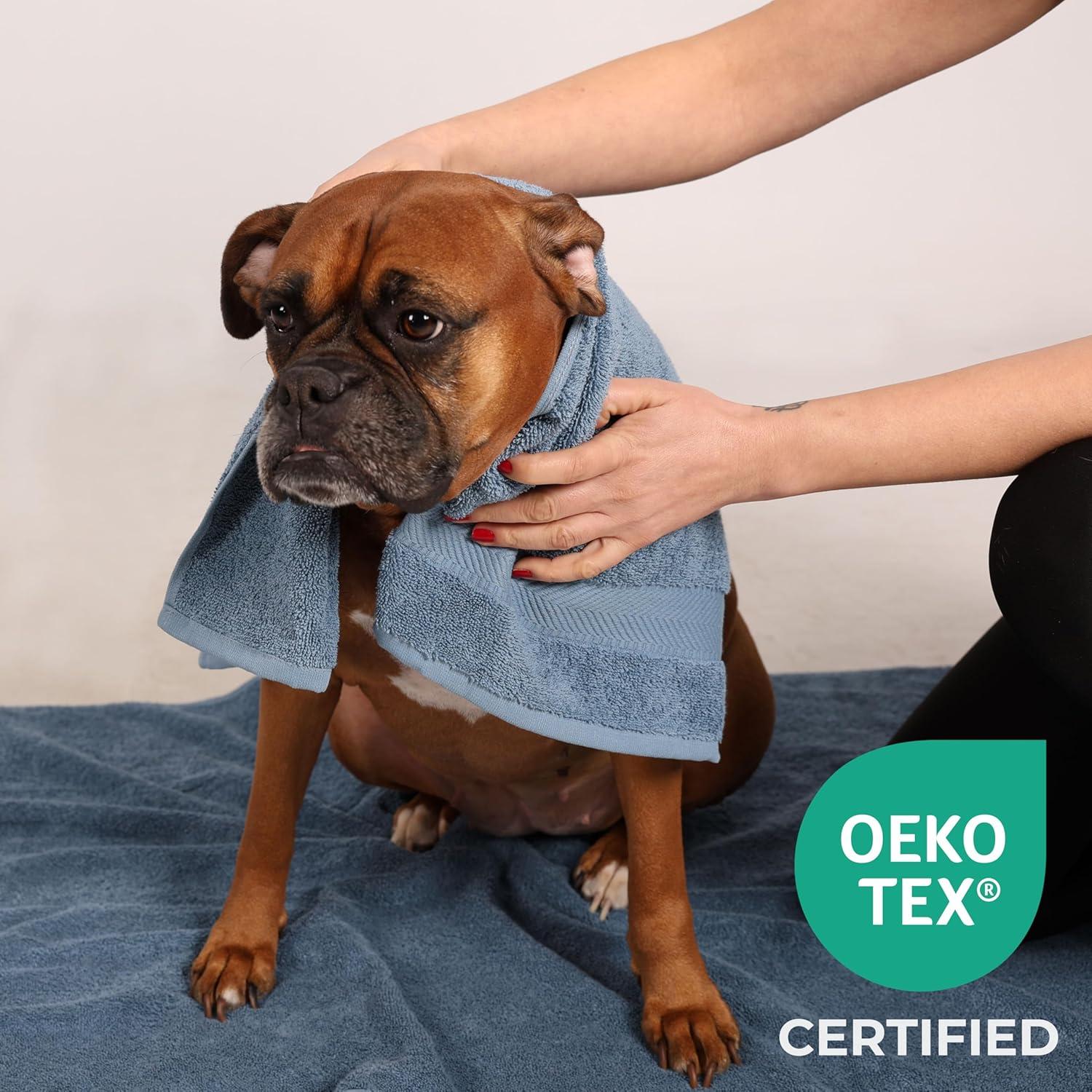 Set de Toallas de Lavado TEXTILOM 100% Algodón Aqua 4 Piezas