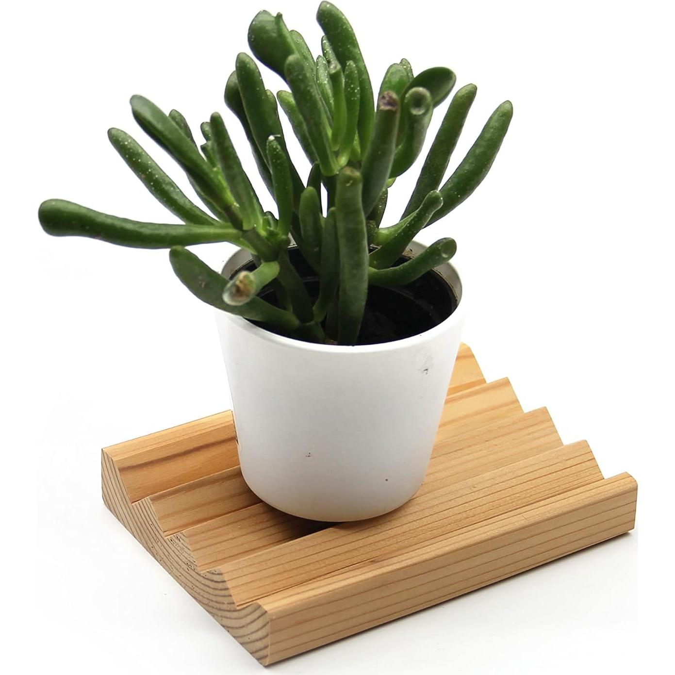 Plato de Jabón de Cedro L'Olivier Naturals 11.7x8.6 cm