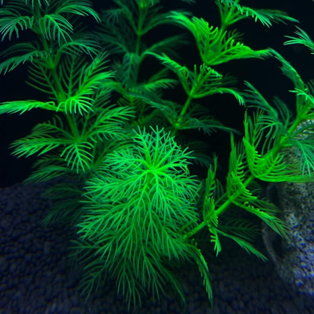 Plantas de Acuario Artificiales TANOMA 10PCS Verde Realista