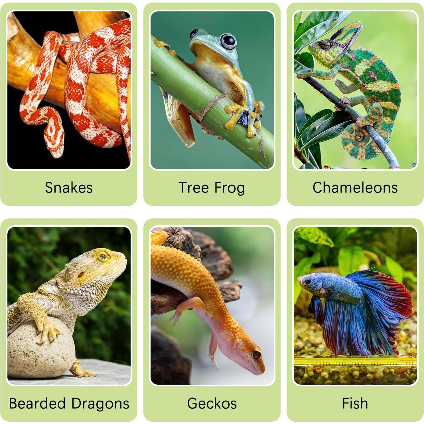 Fondo de Terrario 3D Hamiledyi Roca Falsa 45x28 cm