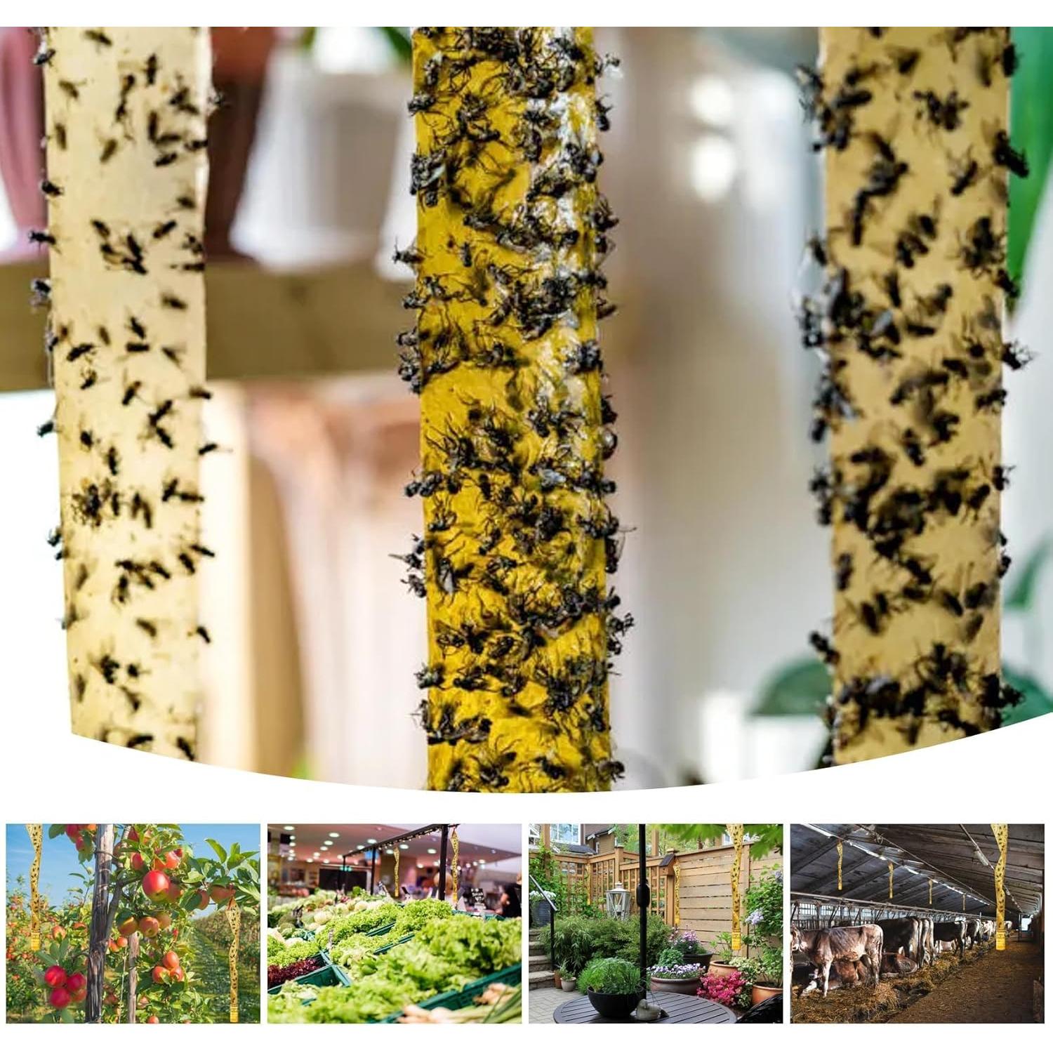 Trampa Adhesiva para Moscas Glovv 24 Paquete - Cinta Colgante Eficaz