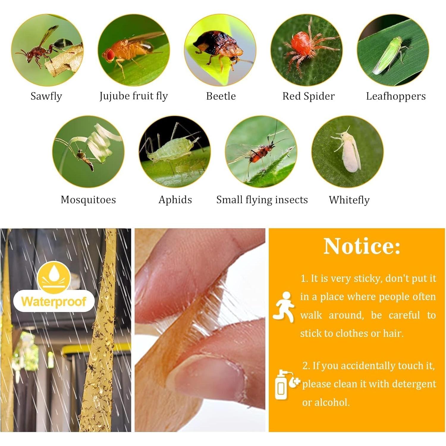 Trampa Adhesiva para Moscas Glovv 24 Paquete - Cinta Colgante Eficaz