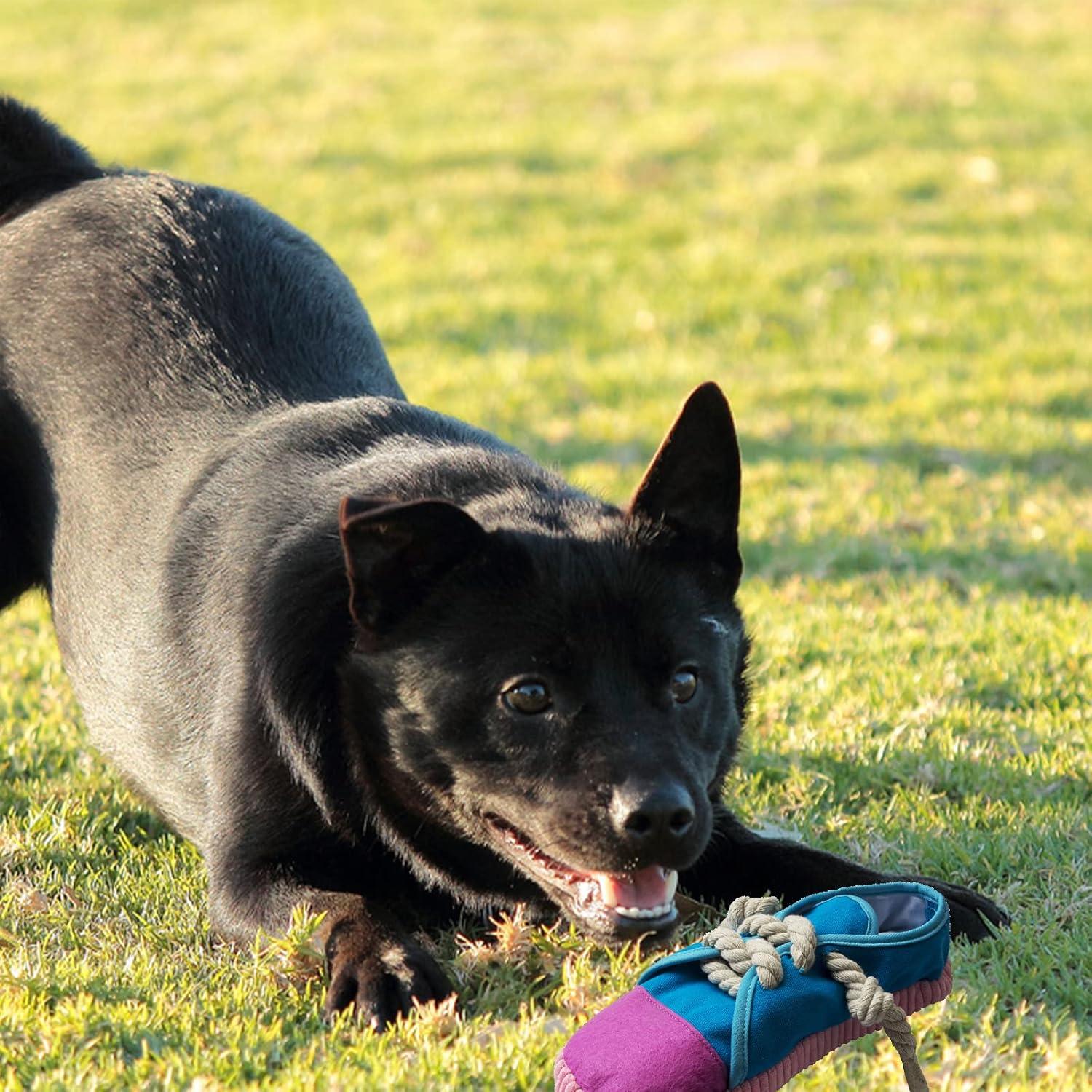 Juguete para Masticar Perros DOGOWU Zapato Squeaky 25cm