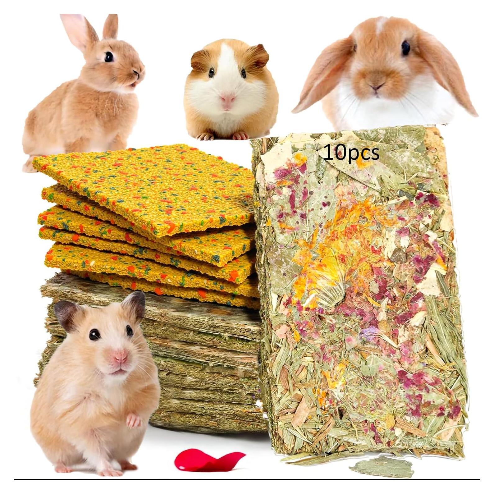 Galletas Crujientes para Conejos 10pcs - Cuidado Dental Natural