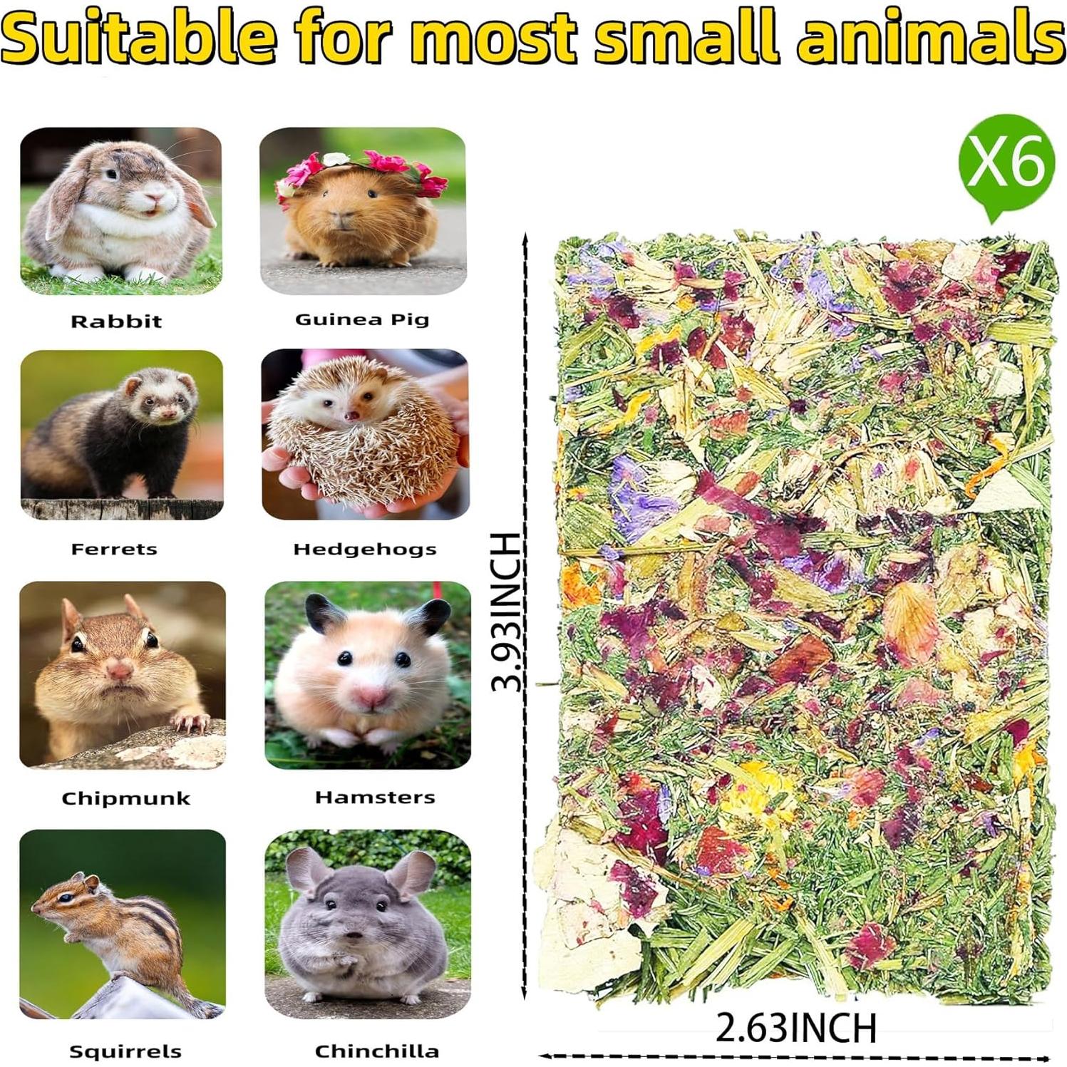 Galletas Crujientes para Conejos 10pcs - Cuidado Dental Natural