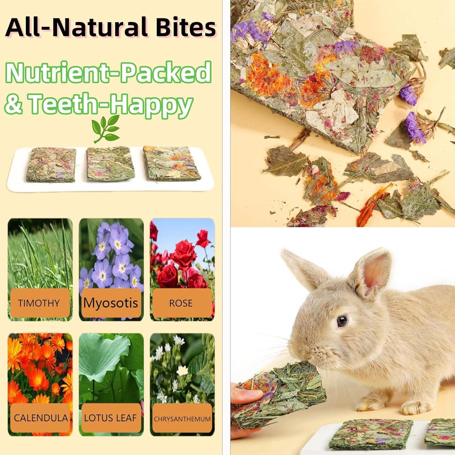 Galletas Crujientes para Conejos 10pcs - Cuidado Dental Natural