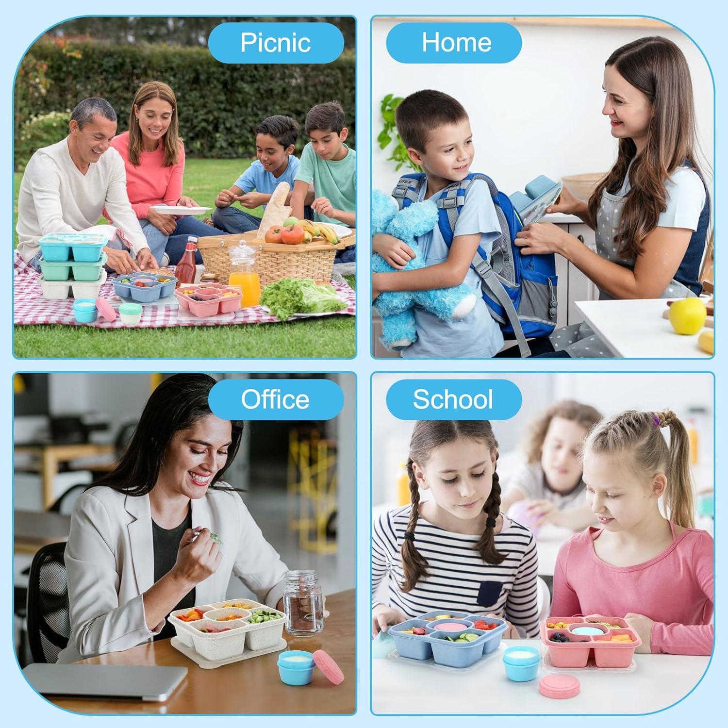 Contenedores de Snacks FANCILLA 5 Compartimentos Reutilizables