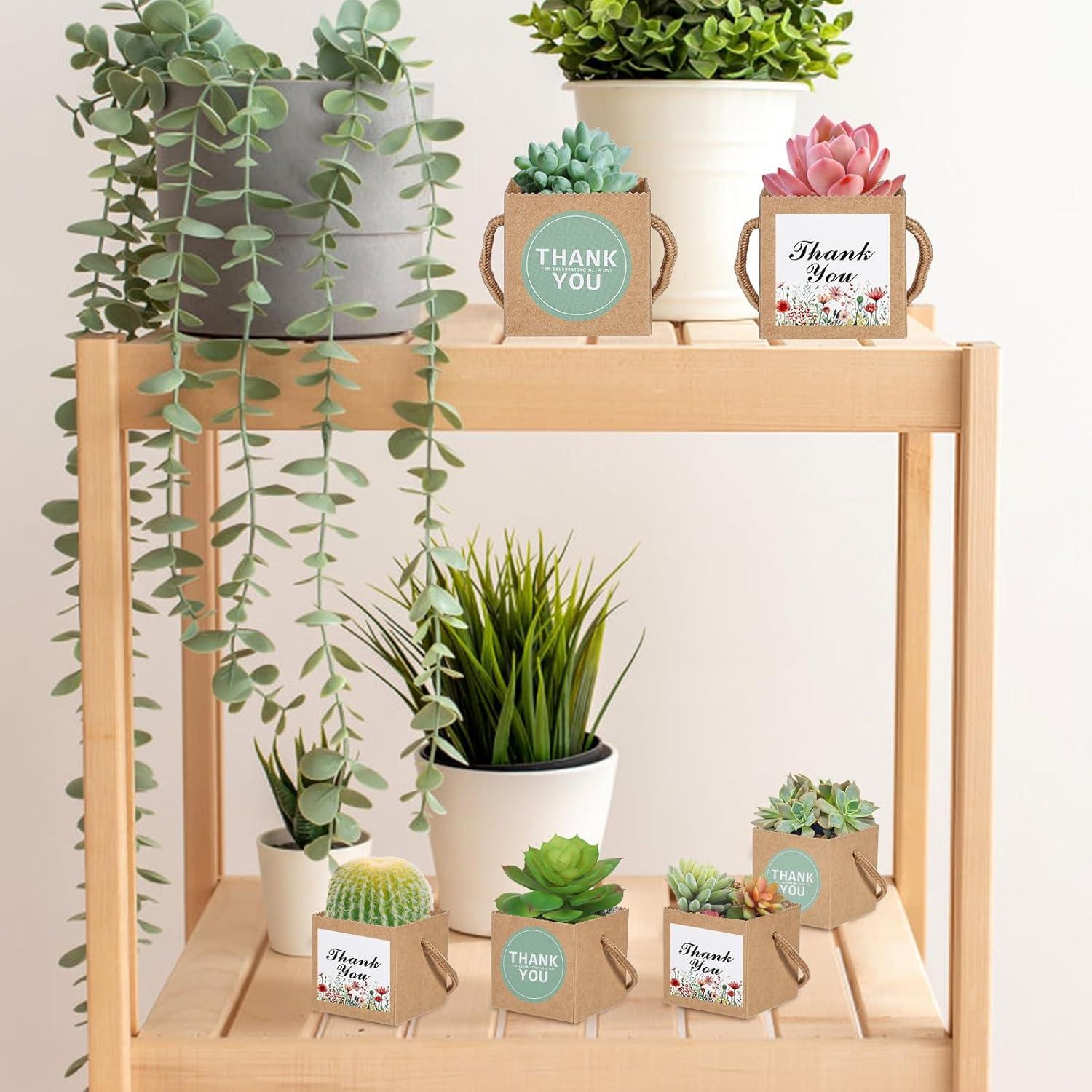 KesaPlan 50 Bolsas de Envoltura para Suculentas con Etiquetas