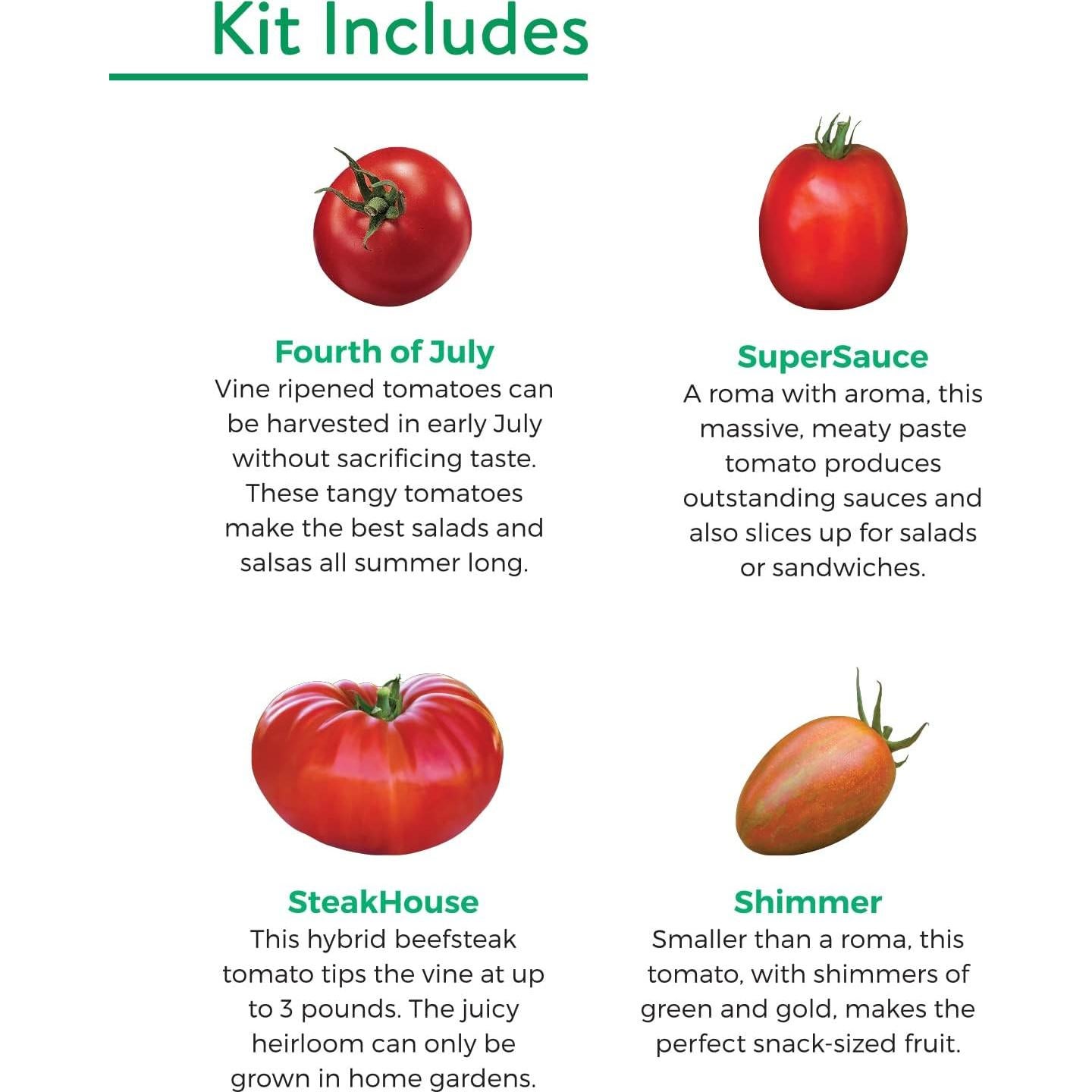 Kit de Inicio de Semillas de Tomate Burpee - 4 Variedades