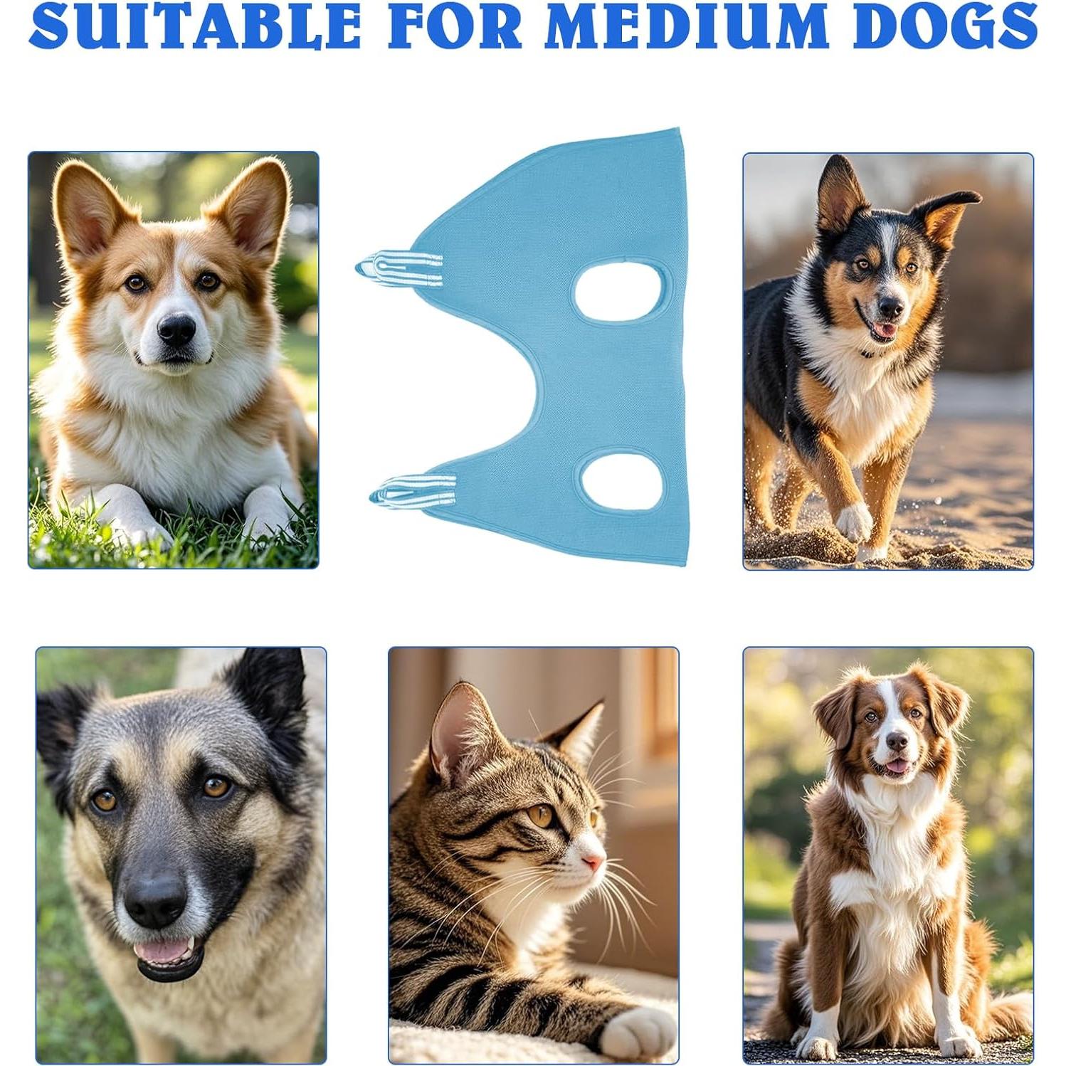 Kit de Hamaca Acicalamiento Mascotas 10 en 1 PWMENLK XS