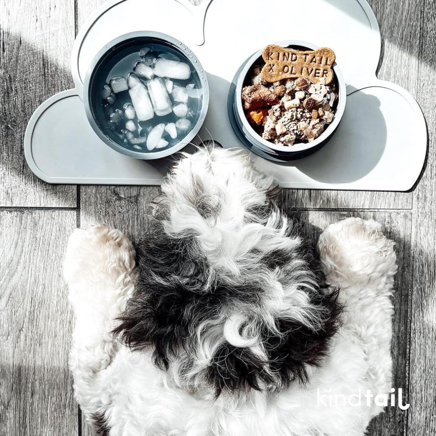 Comedero Portátil para Mascotas KindTail, 2 Cuencos Apilables 0.3L y 0.6L