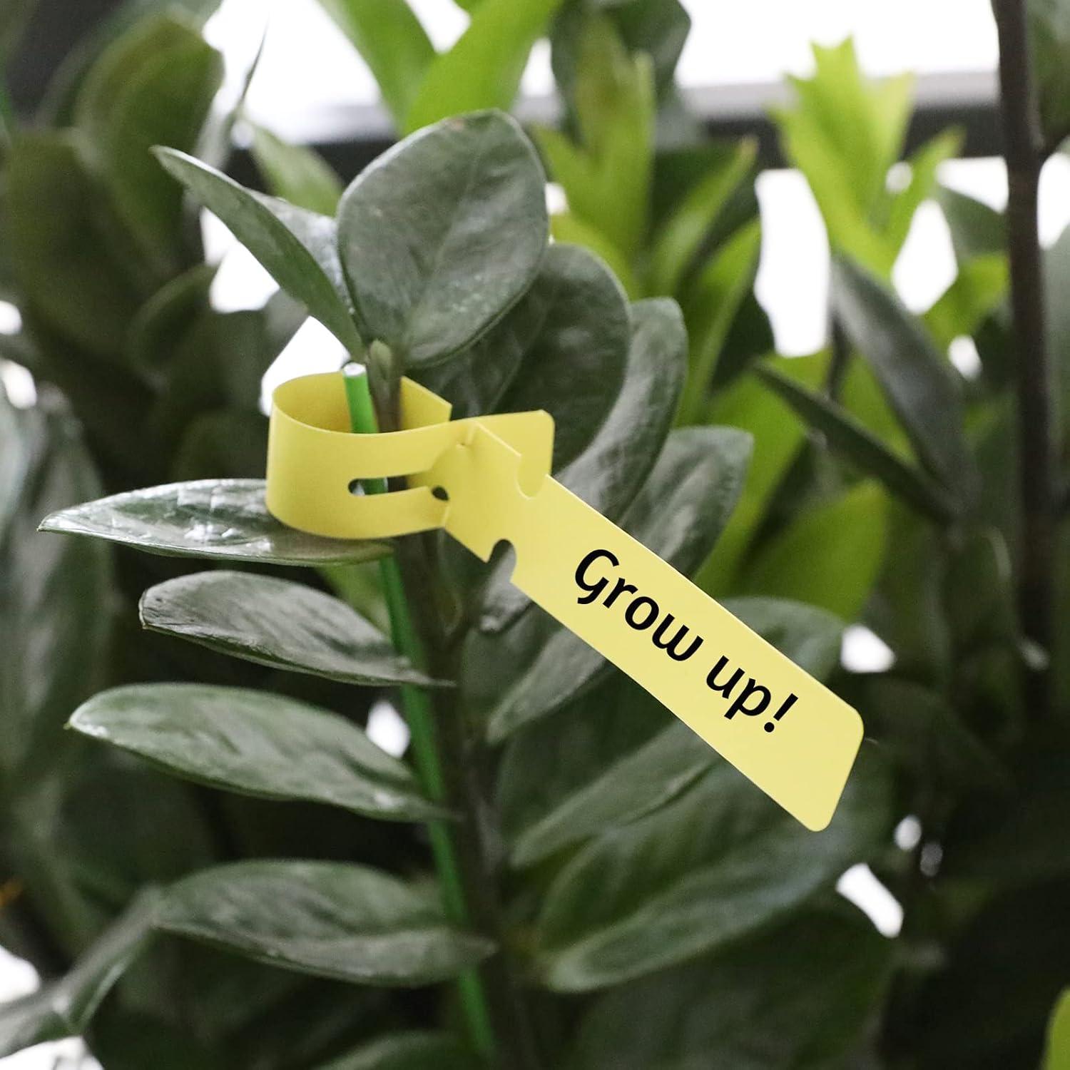 Etiquetas de Plástico para Jardín KINGLAKE 200 Pcs 2x20cm