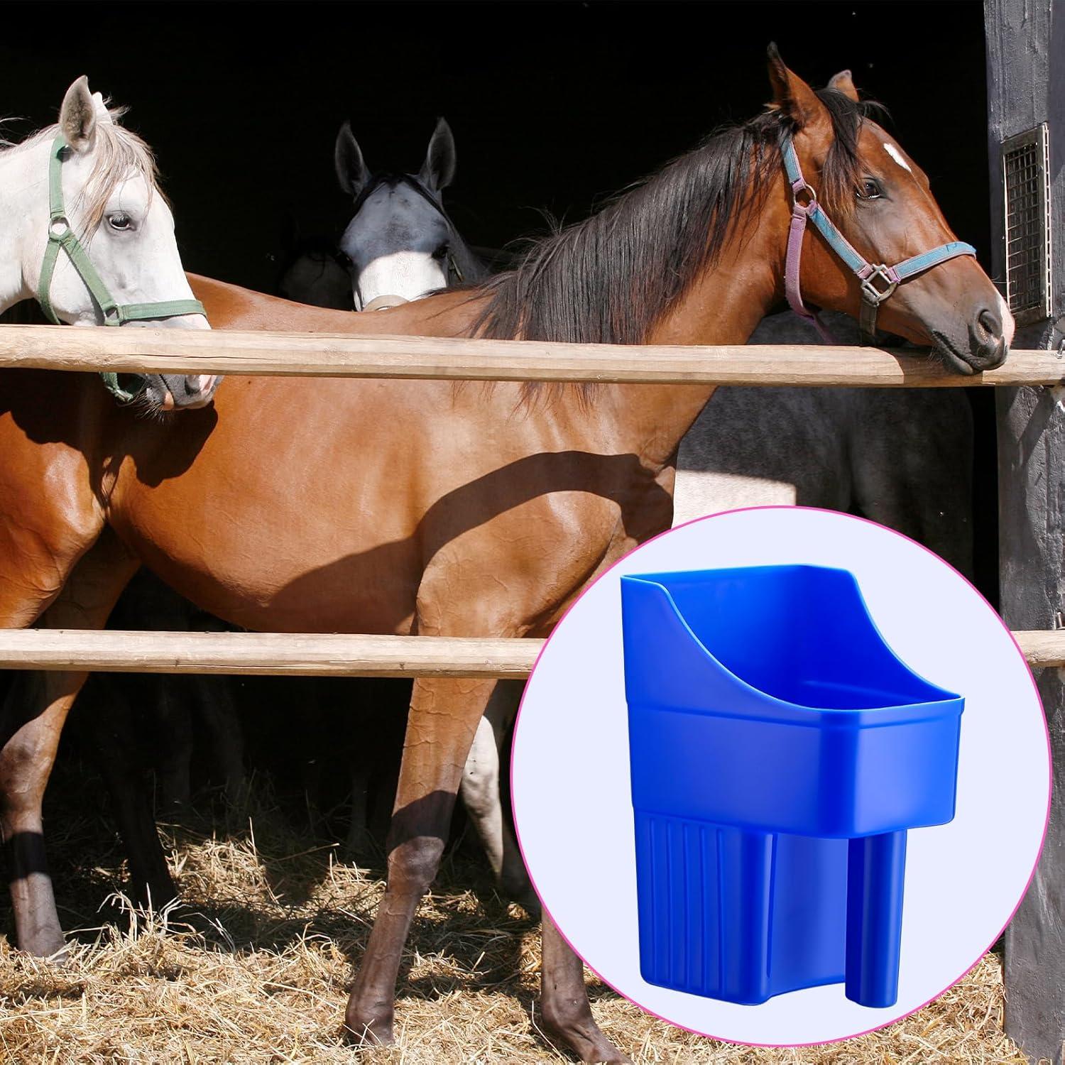 Cucharón de Plástico Baderke 6 Pcs 2L Azul con Medidas