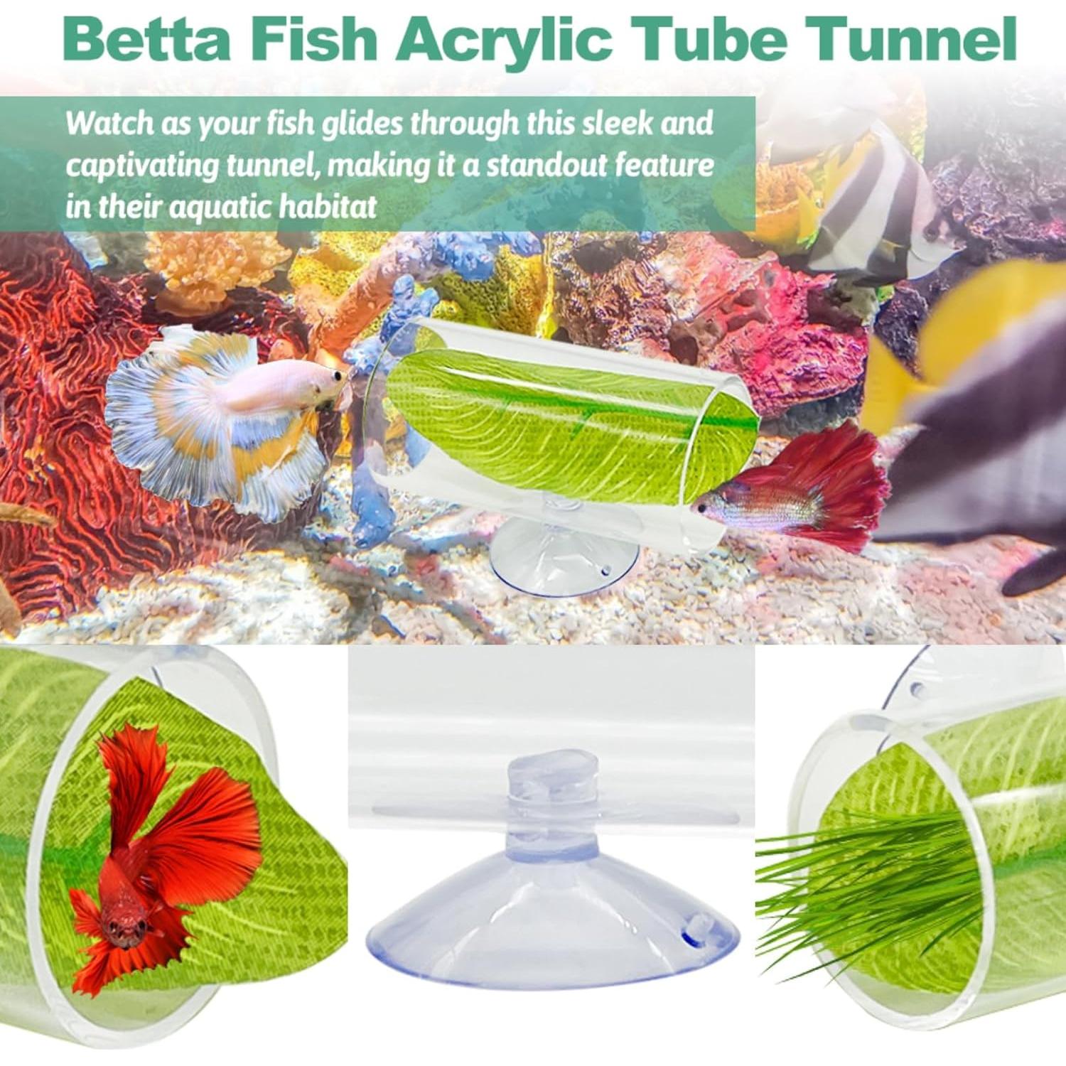 Túnel Acrílico para Peces Betta Hamiledyi - 2 Piezas 7.6x3.8cm