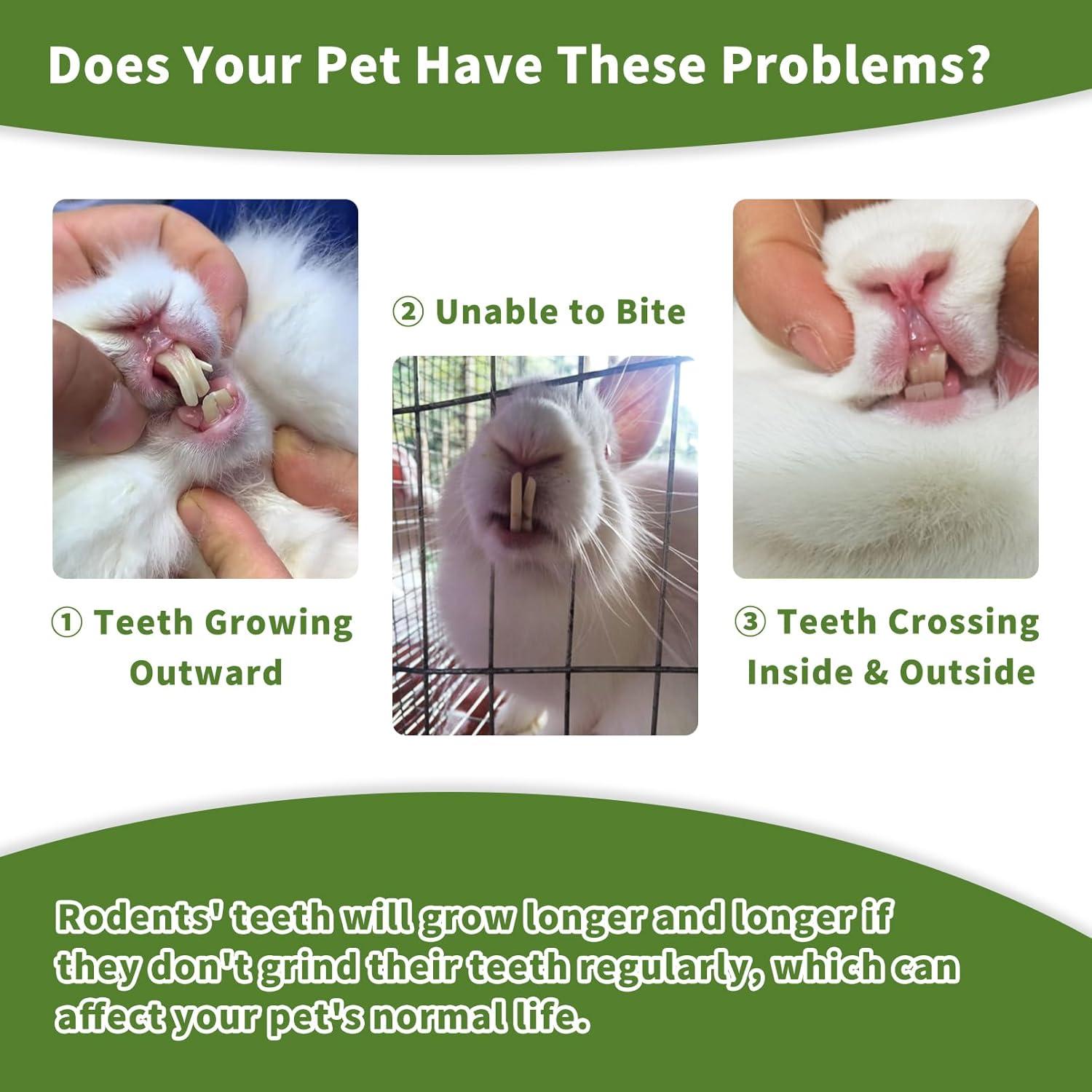 Juguetes Masticables Fhiny para Conejos 8 PCS Madera Papaya 5 cm