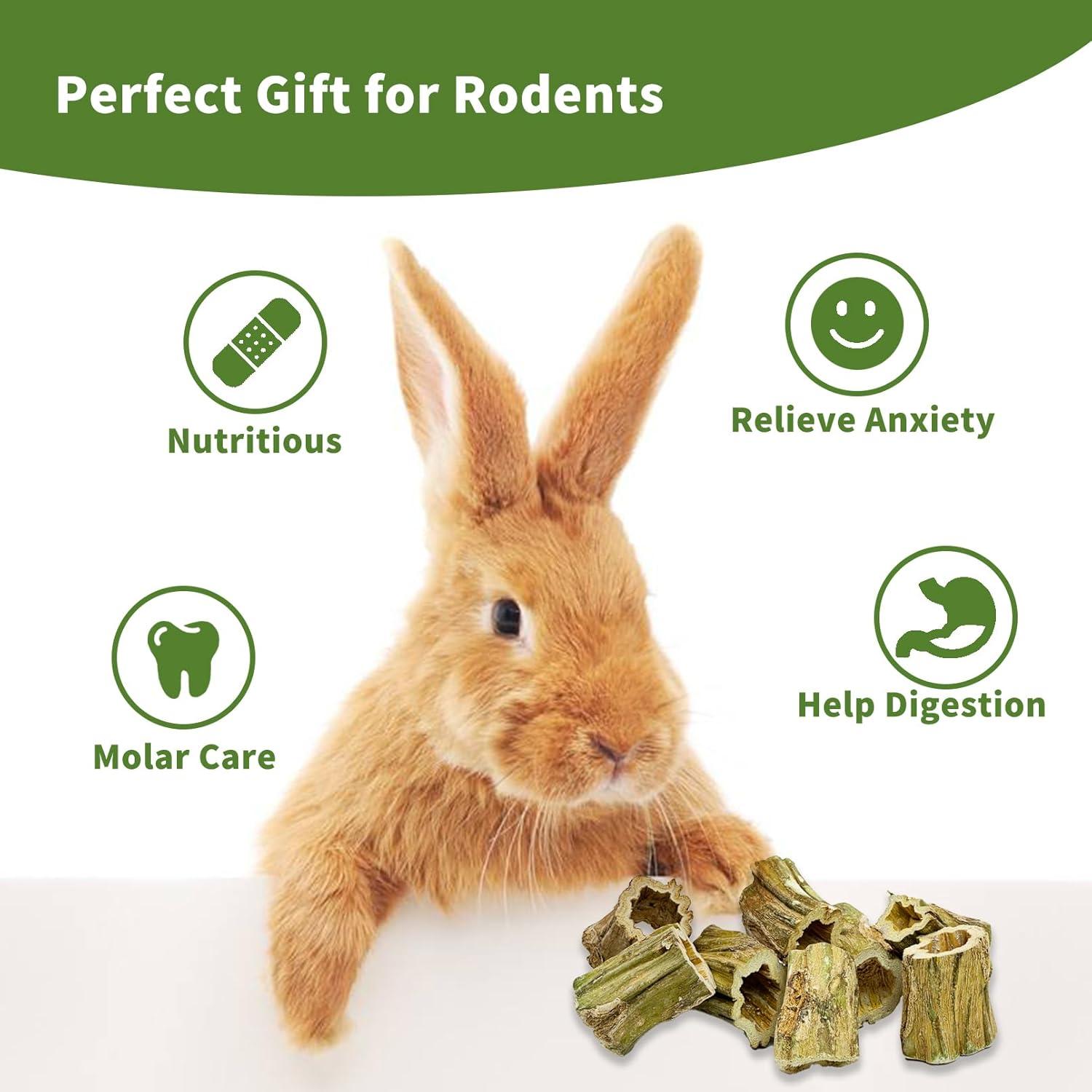 Juguetes Masticables Fhiny para Conejos 8 PCS Madera Papaya 5 cm