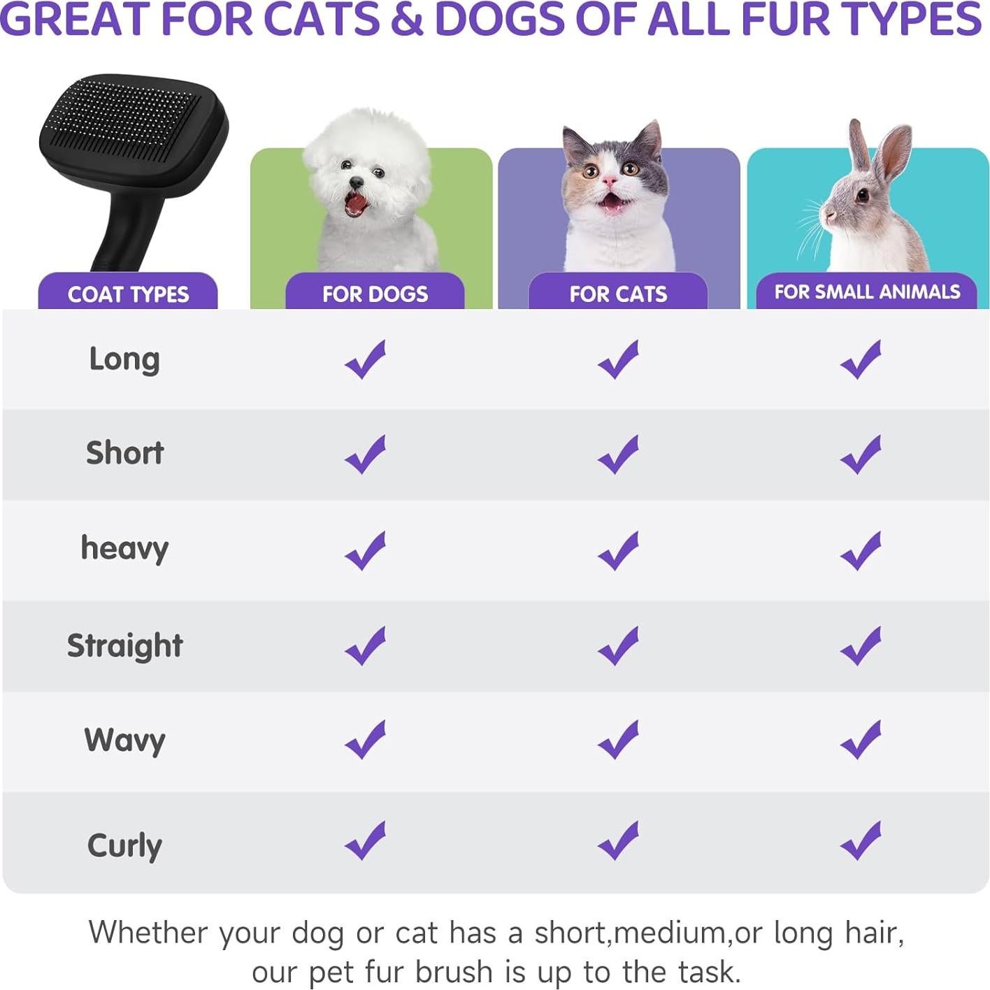 Kit de Aseo para Mascotas COZYGIFT - 3 Piezas Negro