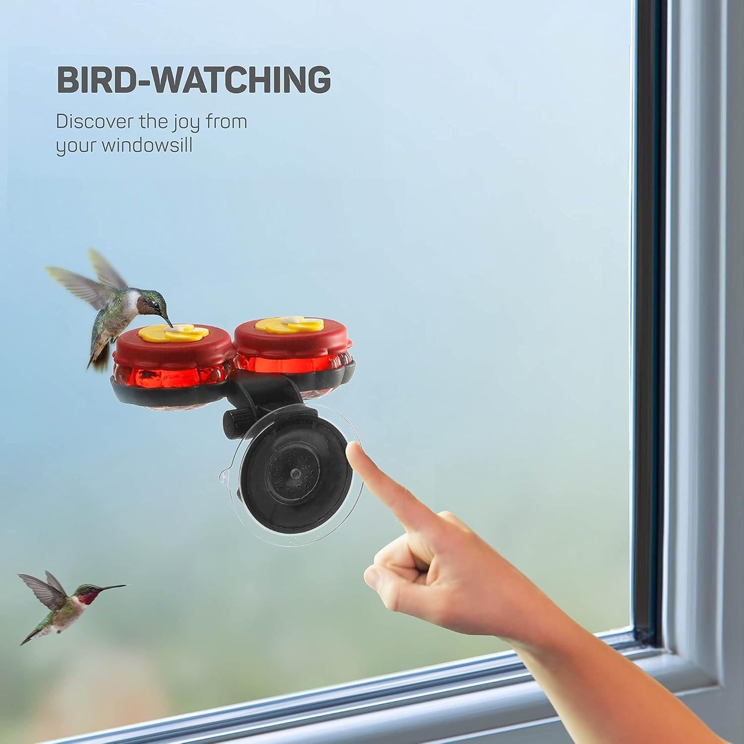 Alimentadores de Colibrí SEWANTA de Vidrio - Juego de 4 Mini