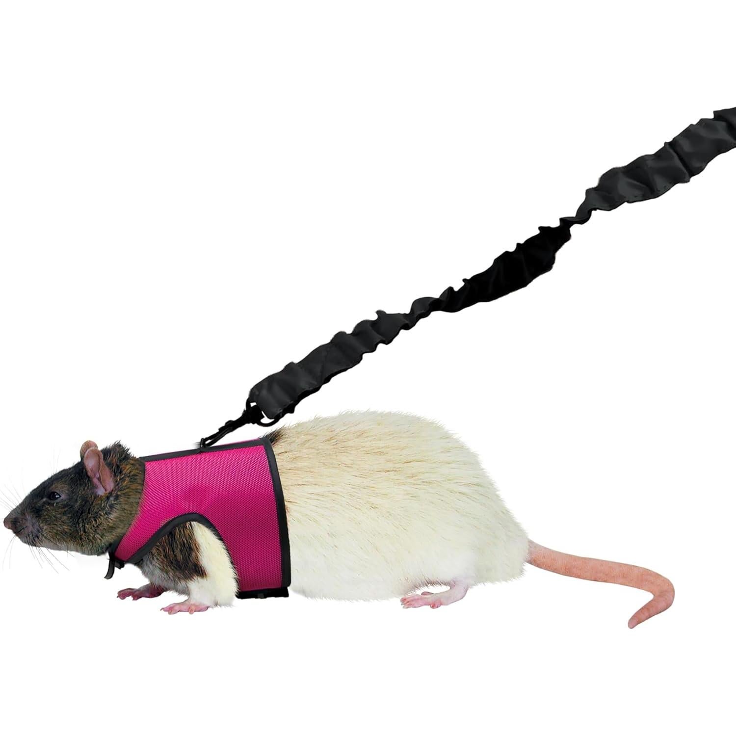 Arnés de Confort Kaytee Pequeño con Correa Elástica 1.22m