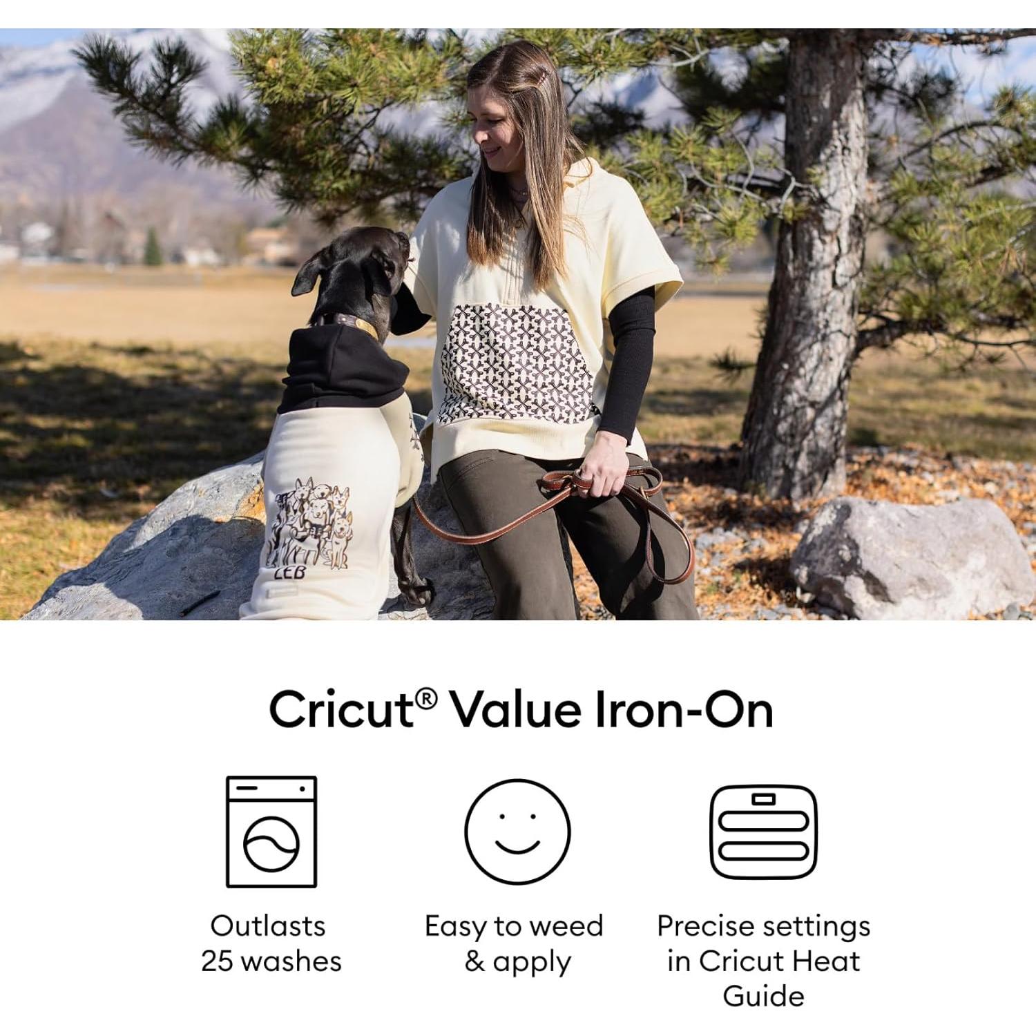 Cricut Valor Plancha Muestra Arcoíris 10 Hojas 30.5x30.5 cm