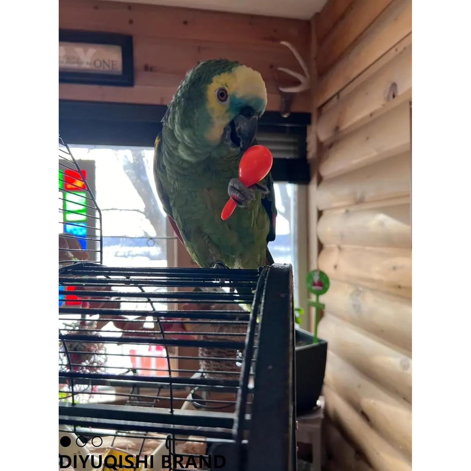 Paquete de 10 Juguetes para Aves DIYUQISHI - Diversión y Ejercicio