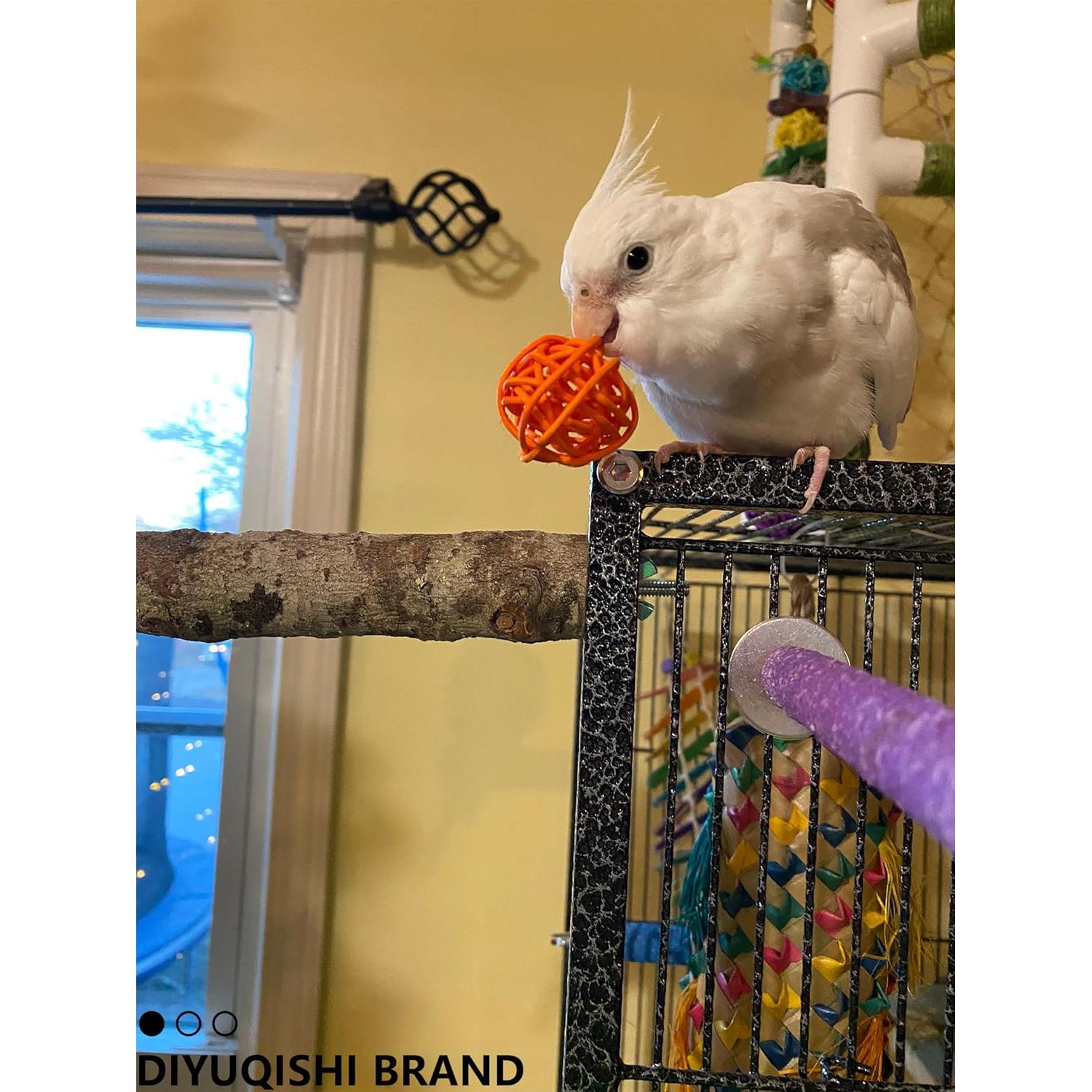 Paquete de 10 Juguetes para Aves DIYUQISHI - Diversión y Ejercicio