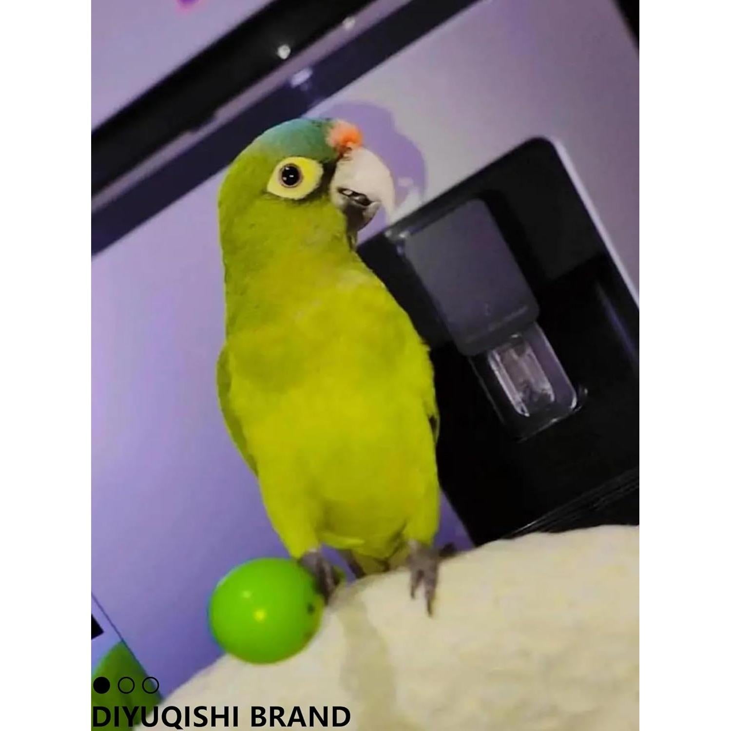 Paquete de 10 Juguetes para Aves DIYUQISHI - Diversión y Ejercicio