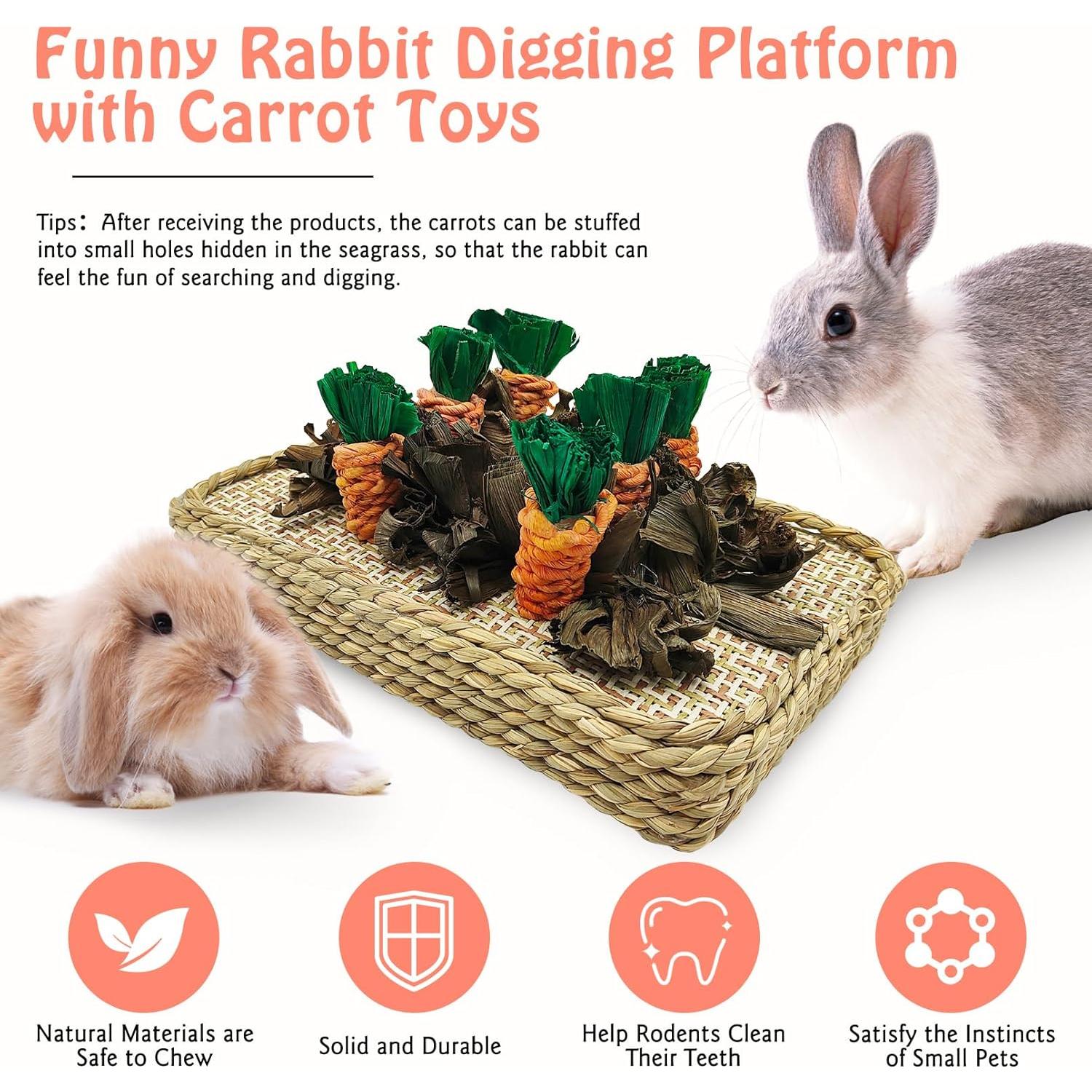 Juguete Masticable para Conejos Hamiledyi - Zanahorias 25x16 cm