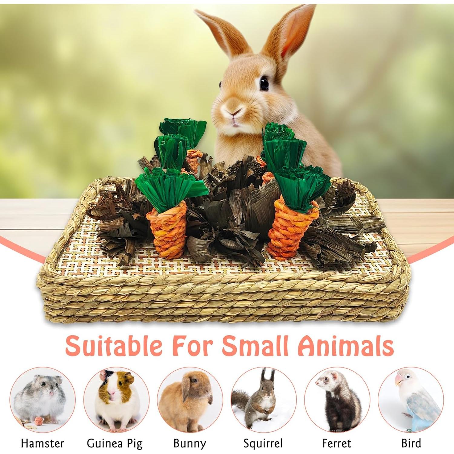 Juguete Masticable para Conejos Hamiledyi - Zanahorias 25x16 cm