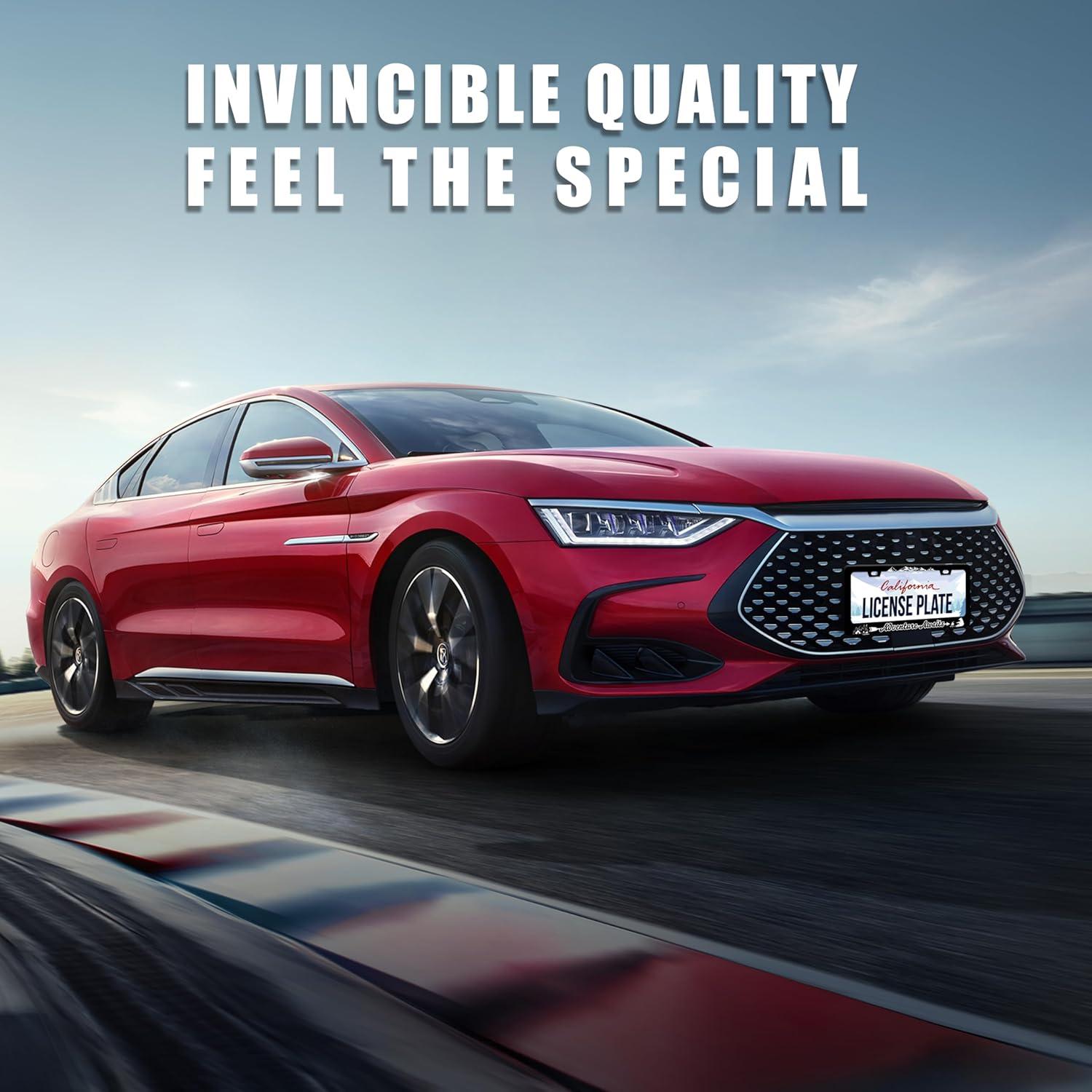 Marco de Placa de Licencia UNINDREM Acero Inoxidable 31x16 cm