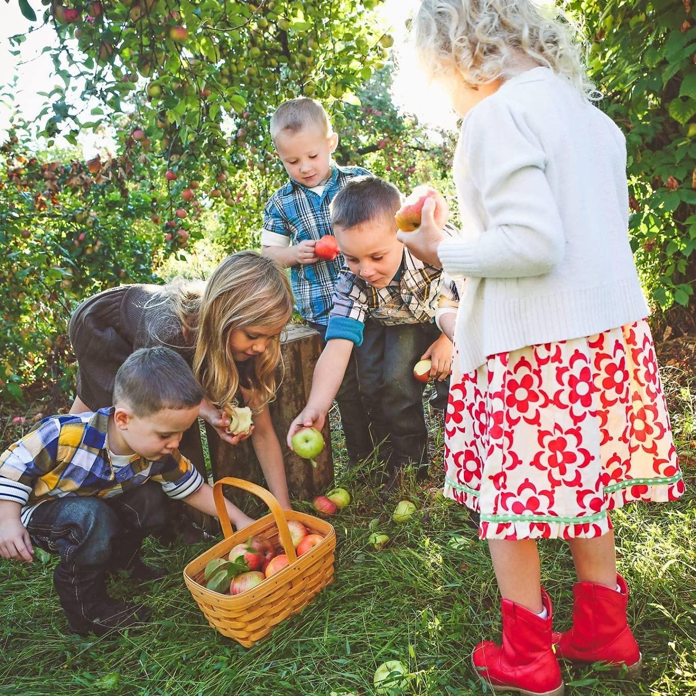 Vinagre de Sidra de Manzana Detox White House 24x103.5ml