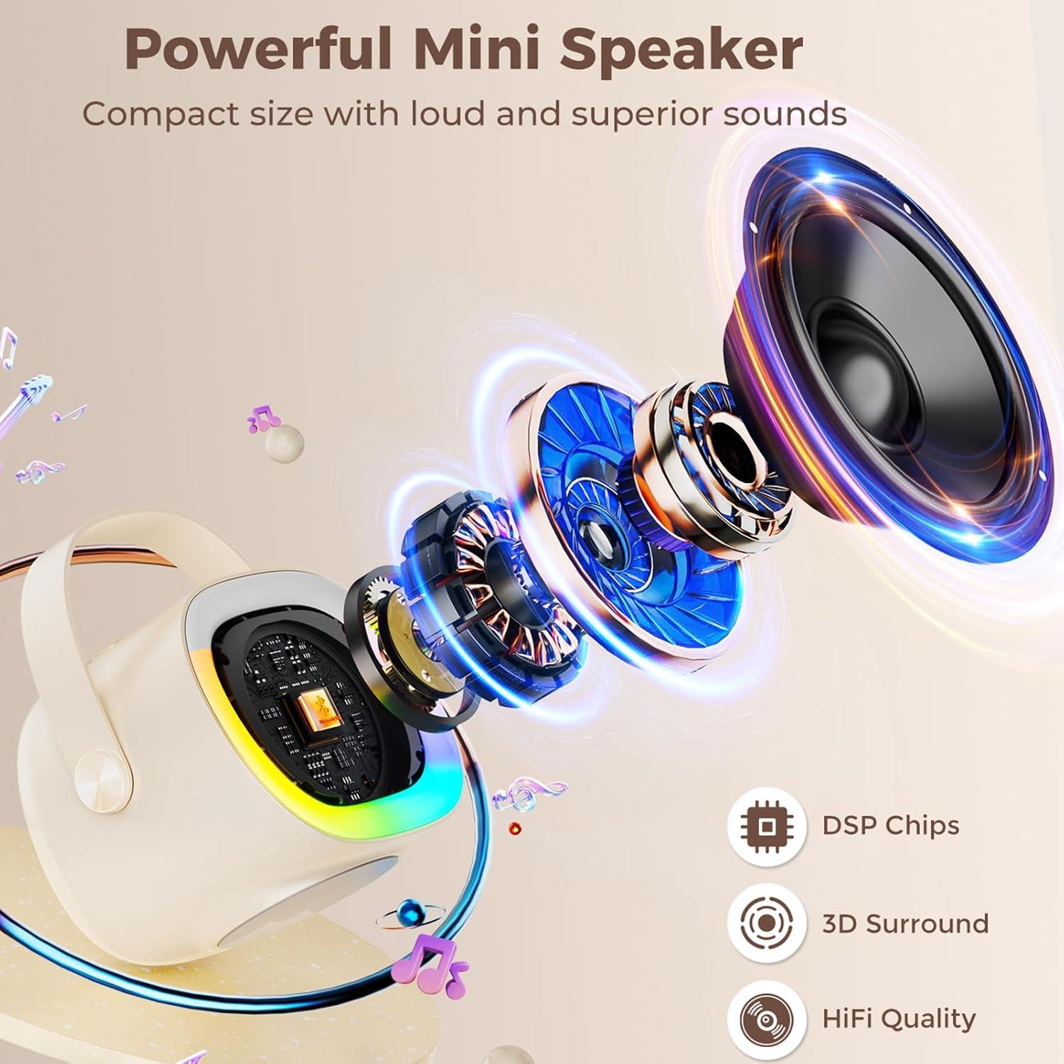 Mini Máquina de Karaoke HWWR D28-T con 2 Micrófonos y Luces