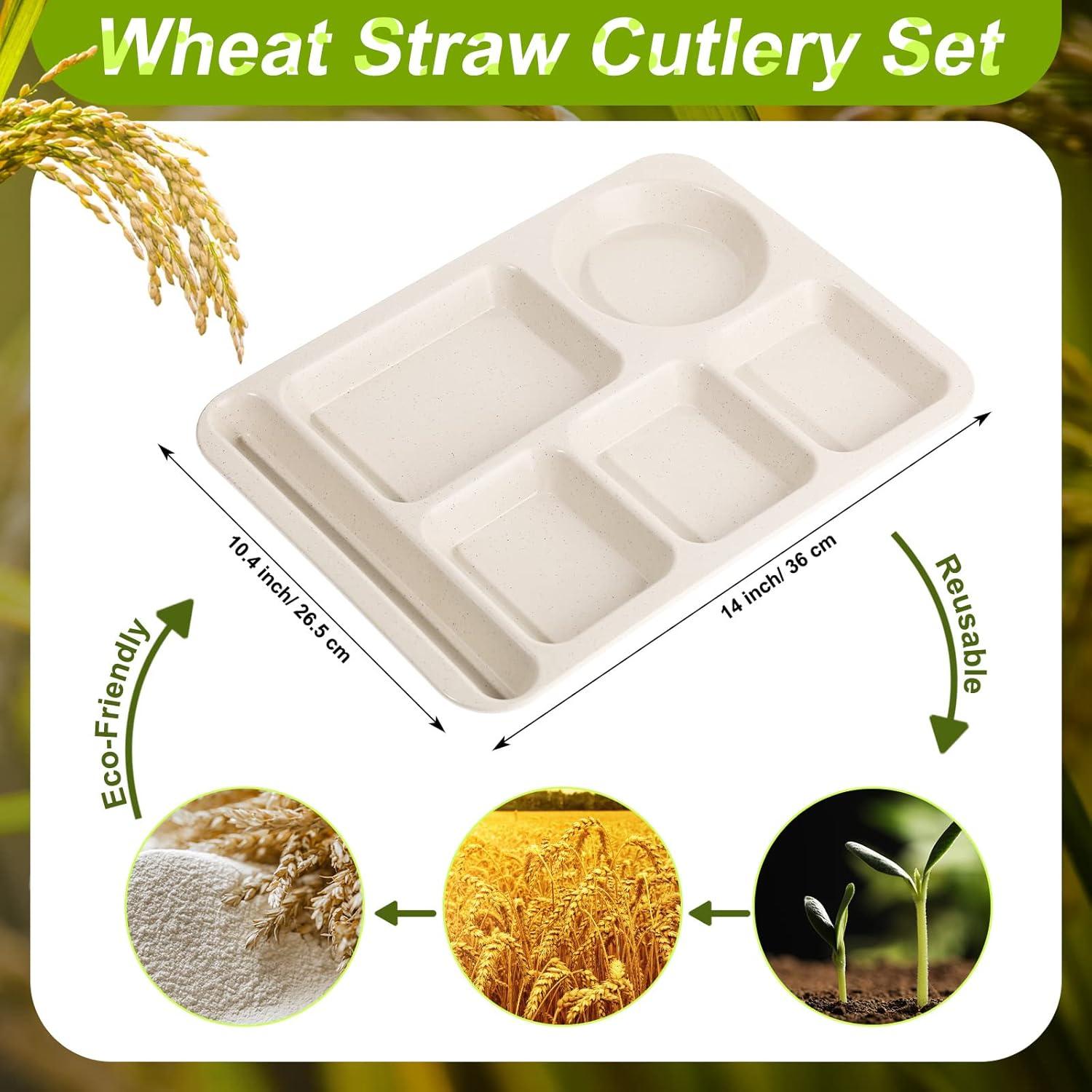 Pinkunn 8 Platos Divididos Irrompibles de Paja Beige 36x26 cm