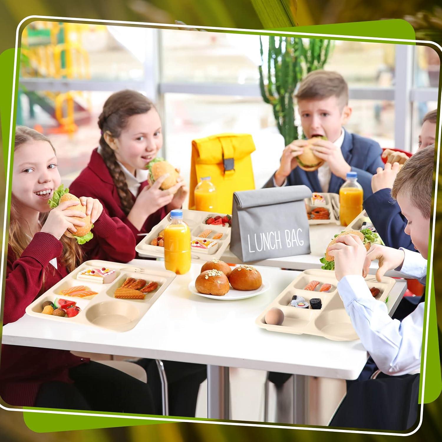 Pinkunn 8 Platos Divididos Irrompibles de Paja Beige 36x26 cm