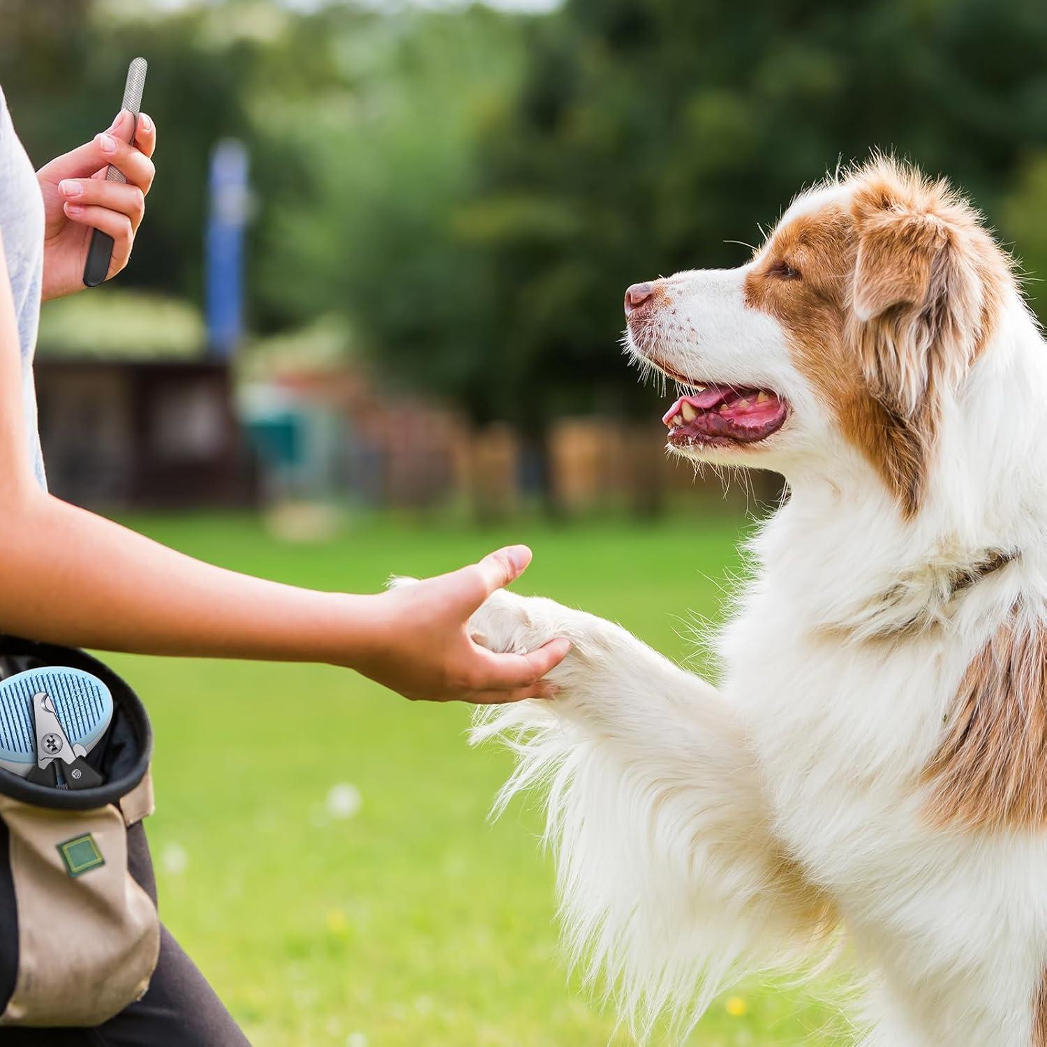 Kit de Aseo para Mascotas Yaomiao 9 Piezas Cepillos y Cortauñas