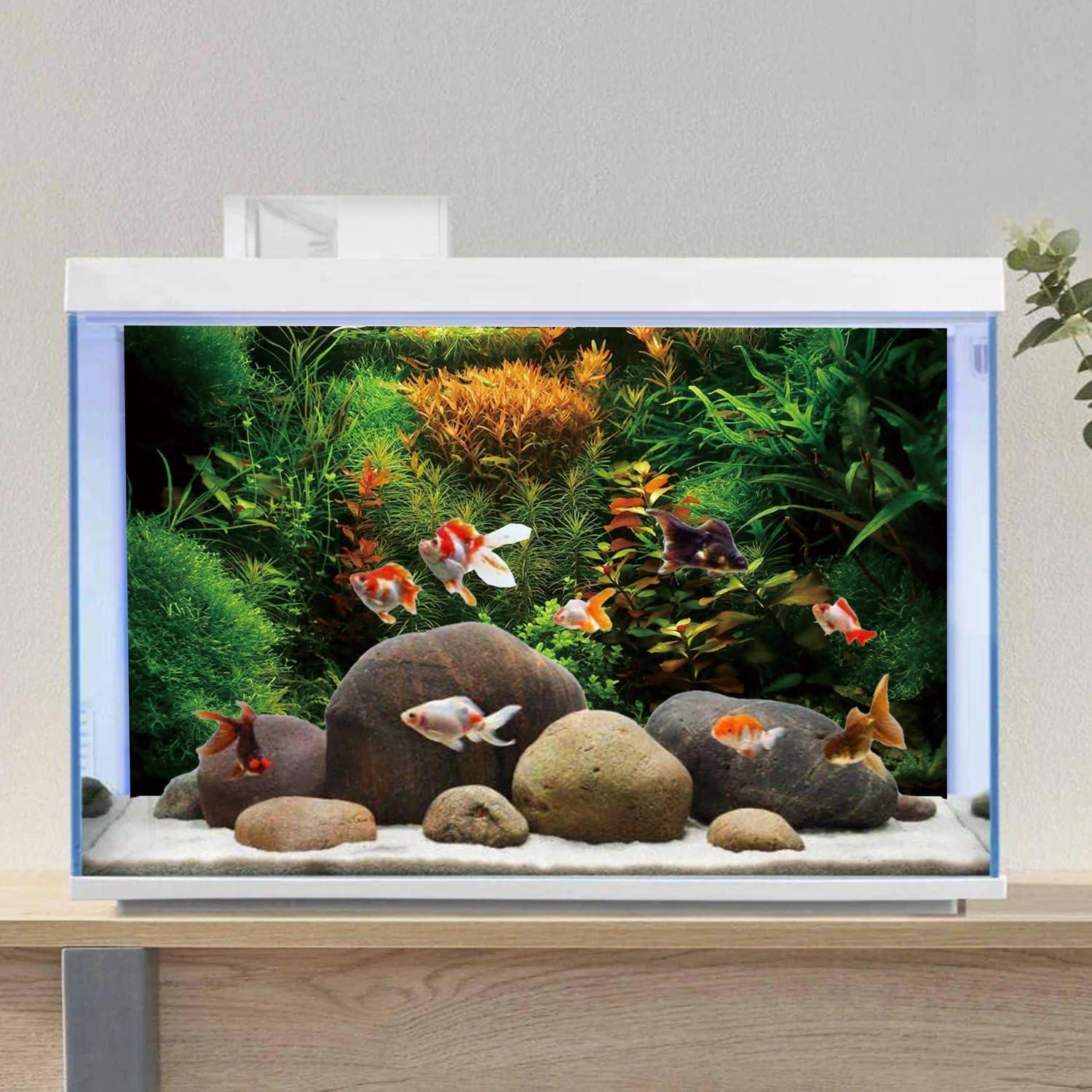 Fondo de Acuario AWERT 60x30 cm Vinilo Reutilizable