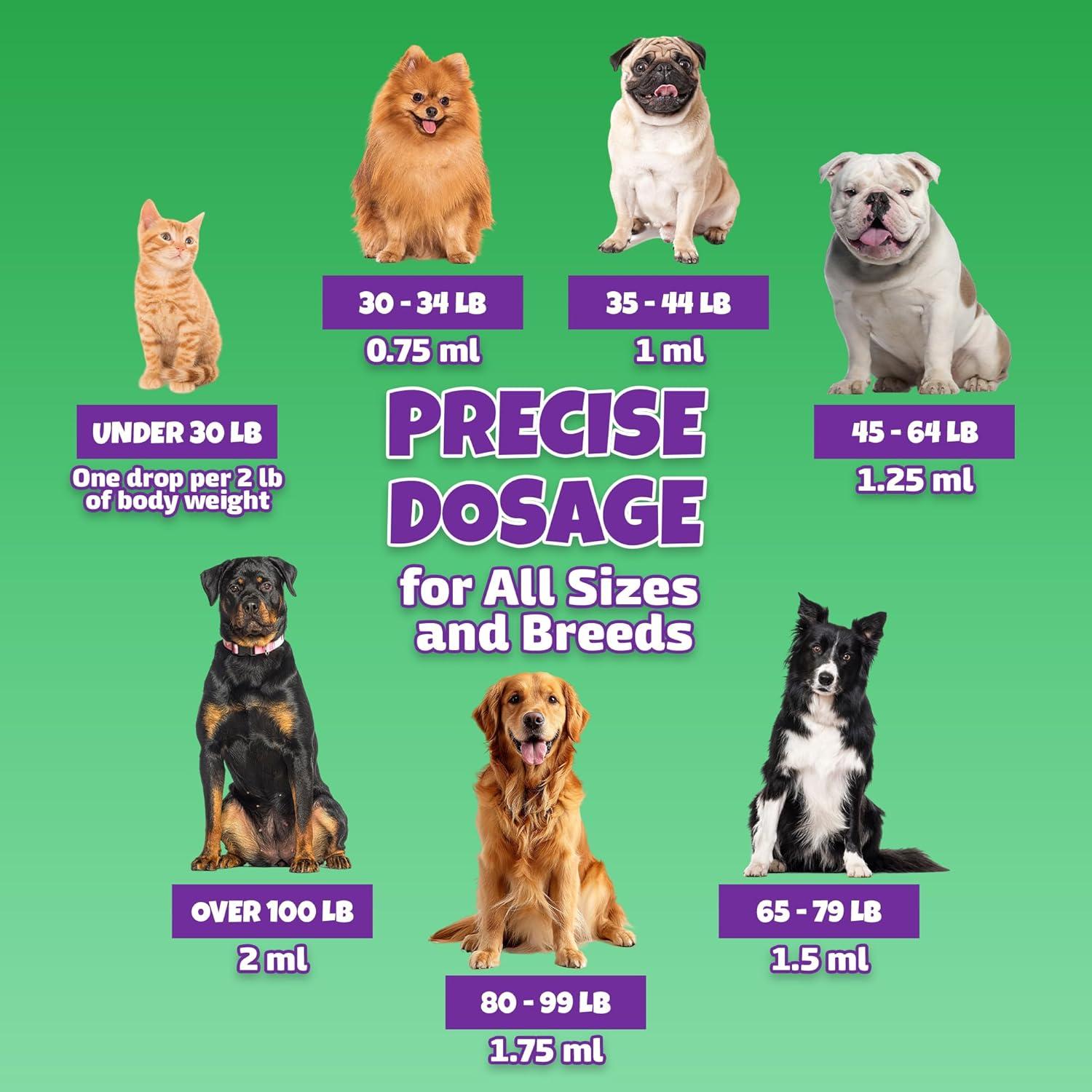 Tratamiento Natural UTI para Perros y Gatos Lively Tails 59 ml