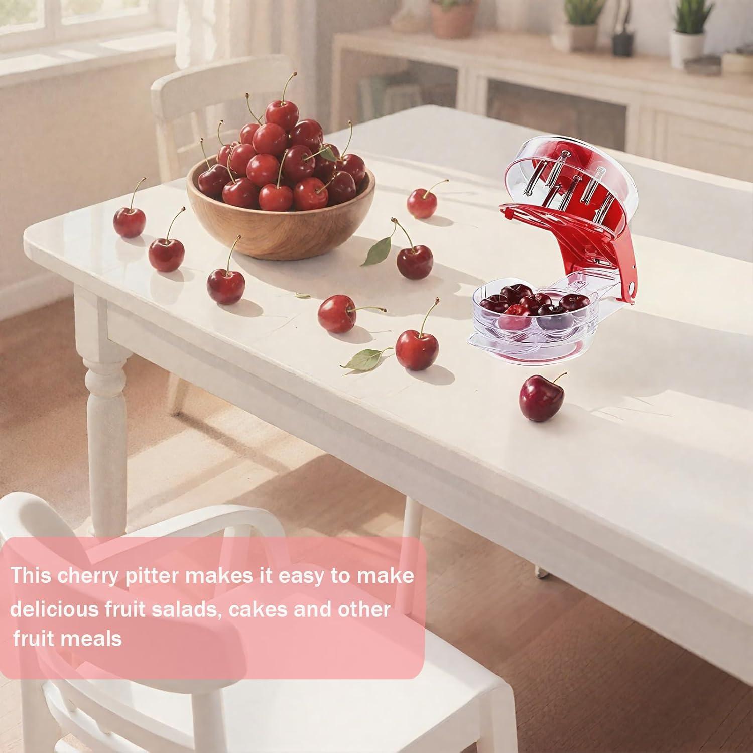 Quita Huesos de Cereza JORMEY 6 Agujeros Acero Inoxidable