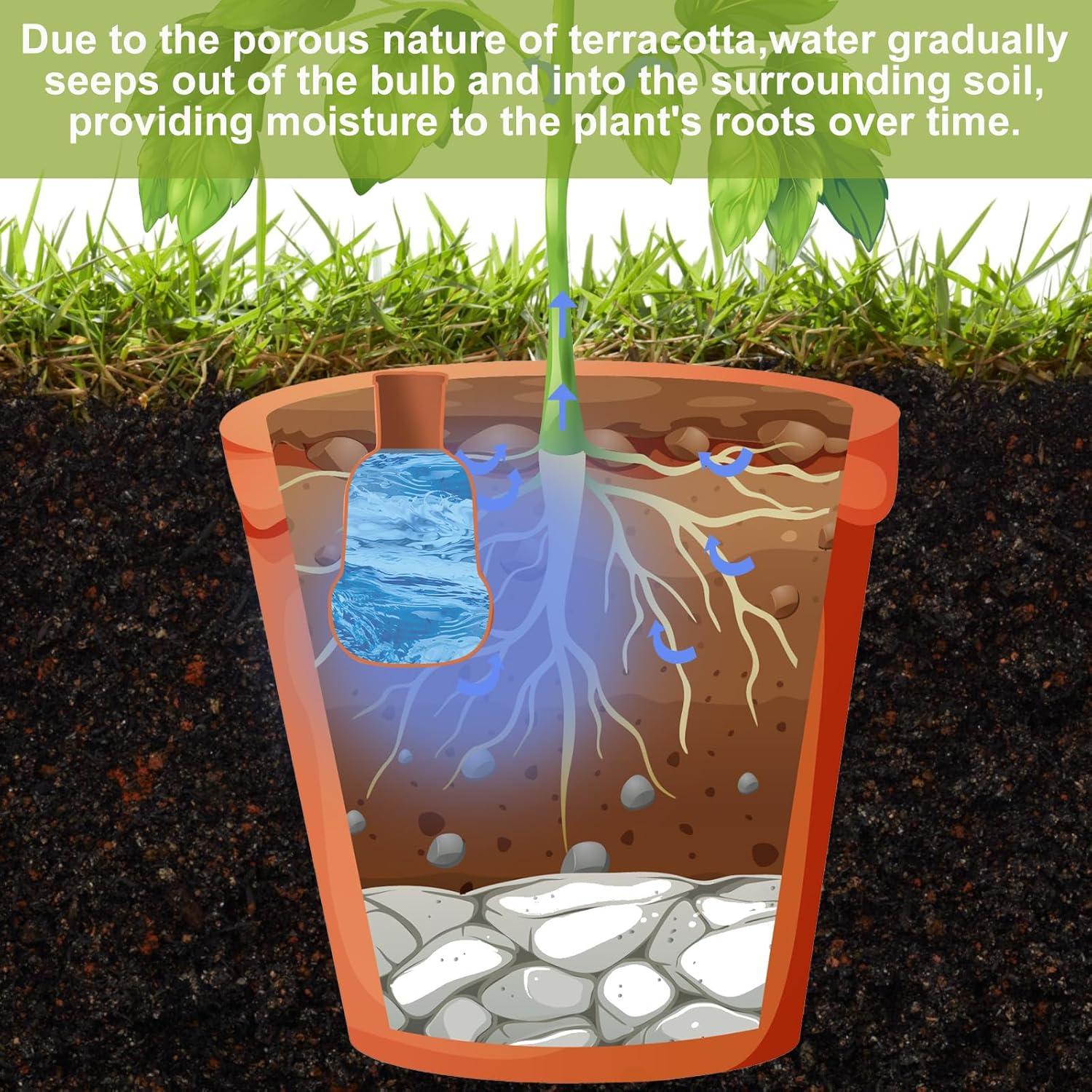 Juego de 2 Macetas de Autorriego Terracota Blushtier 15 oz