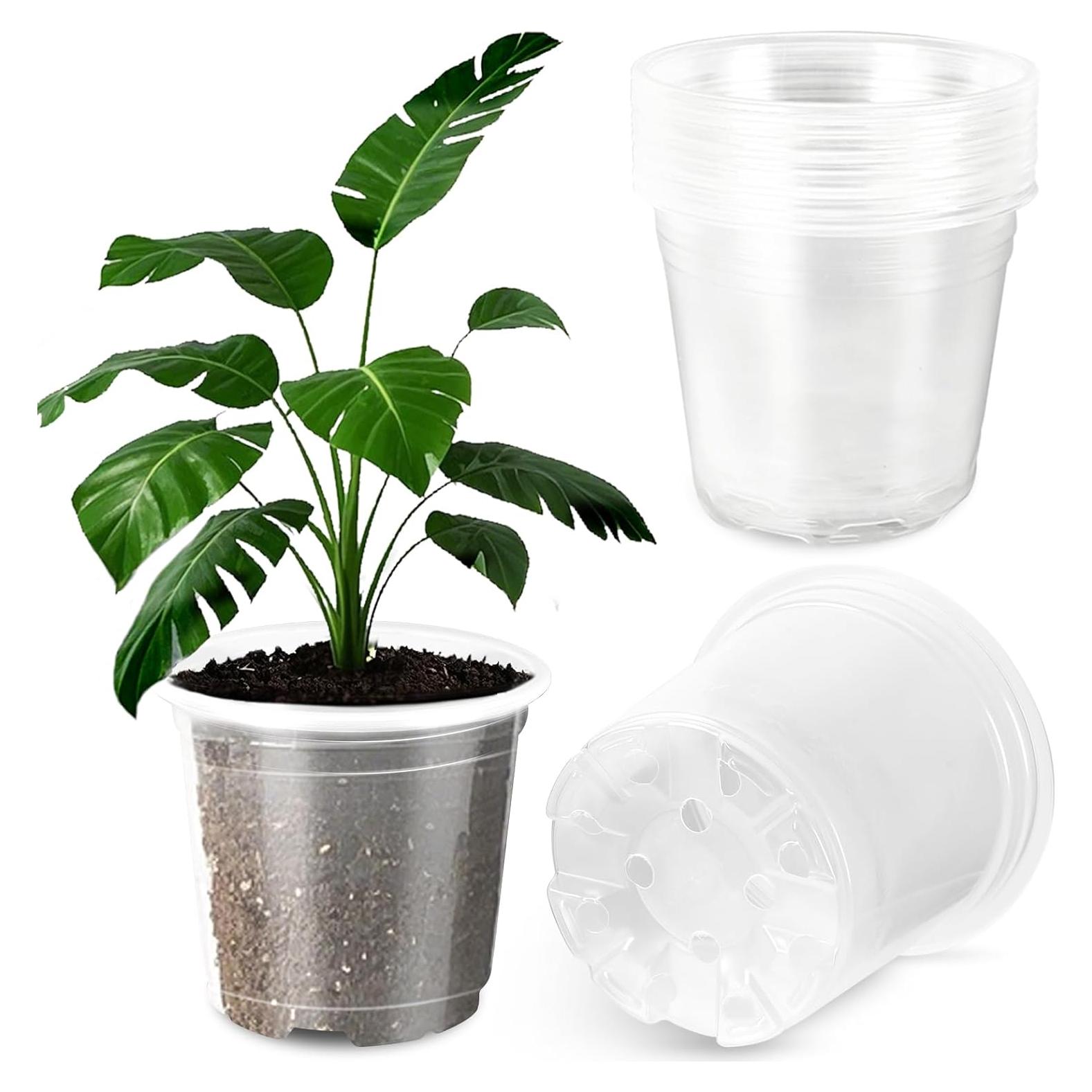 Macetas de Plástico Transparentes Augshy 10cm - 36 Piezas con Drenaje